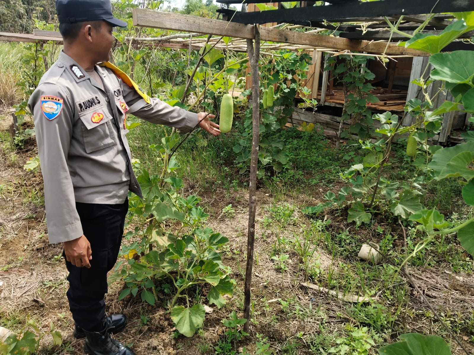 Mendukung Ketahanan Pangan, Personil Polsek sanaman mantikei Cek Lokasi Pemanfaatan Pekarangan Warga.