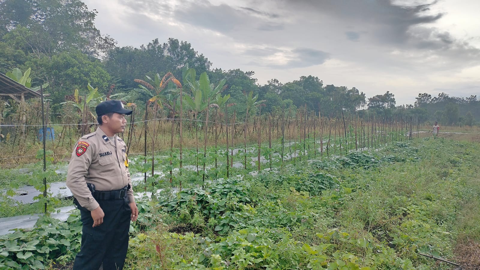 Dalam Rangka Mendukung Program Pemerintah, Bhabinkamtibmas Desa Mekartani Polsek Mendawai Cek Lokasi Pemanfaatan Lahan Pekarangan Warga