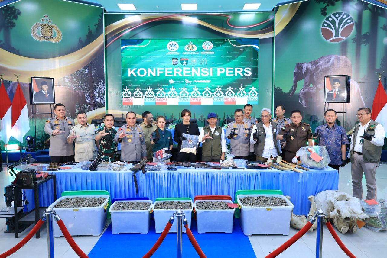 Polda Riau Bekuk 15 Tersangka Jaringan Perburuan Gajah Sumatera Lintas Provinsi