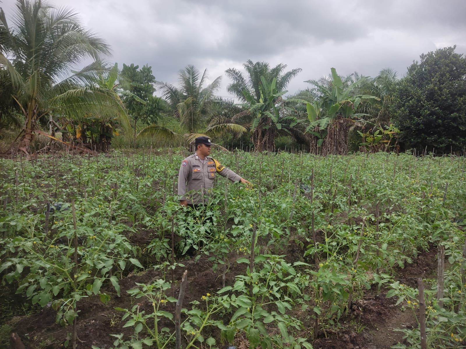 Personel Polsek Tewang Sangalang Garing dan Pulau Malan melaksanakan pengecekan lokasi pemanfaatan lahan pekarangan warga Binaannya