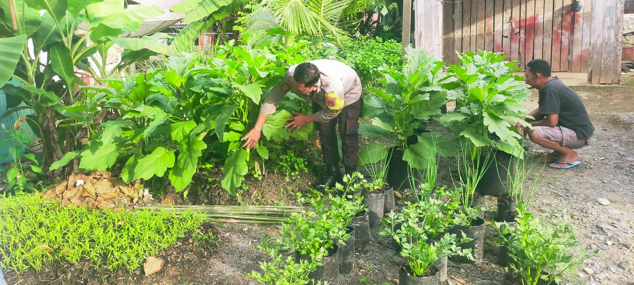 Sinergi Asta Cita, Bhabinkamtibmas Perkuat Ketahanan Pangan Masyarakat