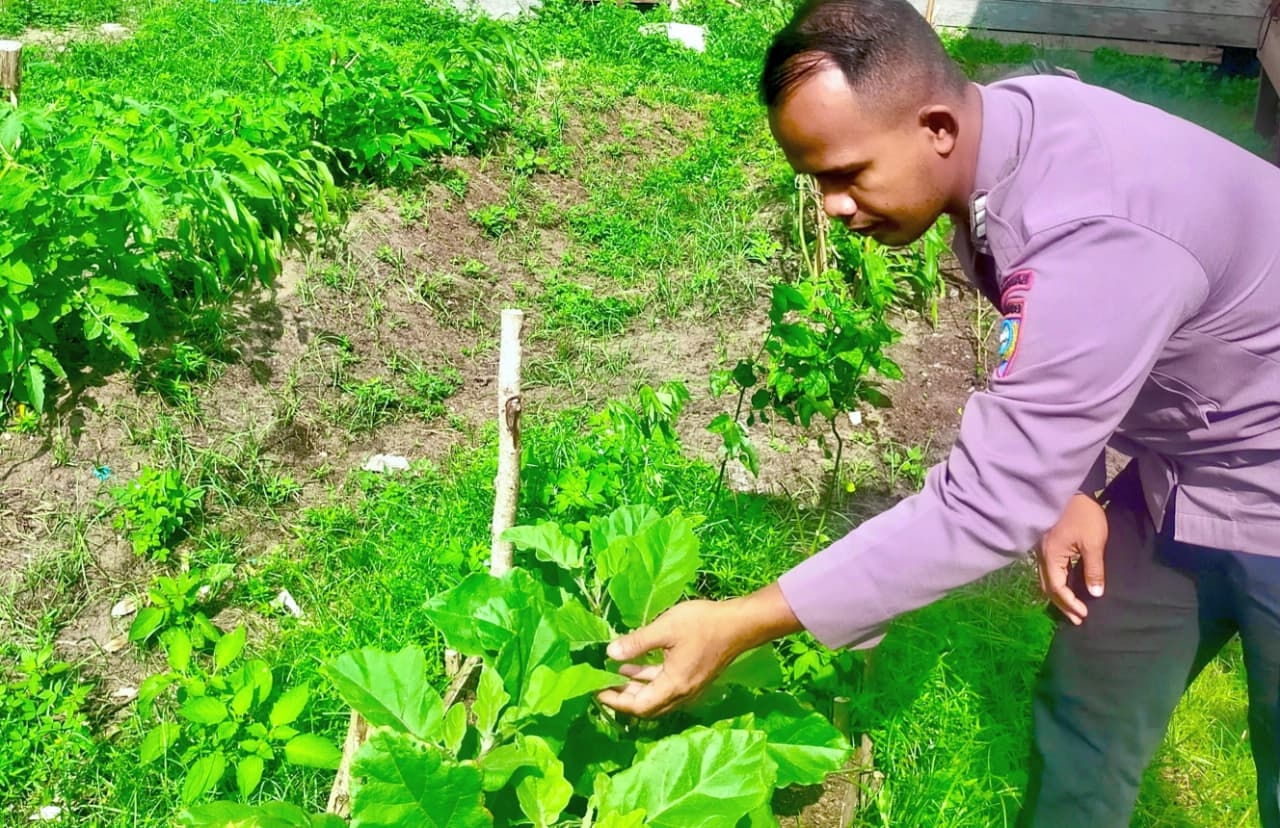 Bhabinkamtibmas Polsek Mendawai cek lokasi pemanfaatan pekarangan rumah warga binaan.