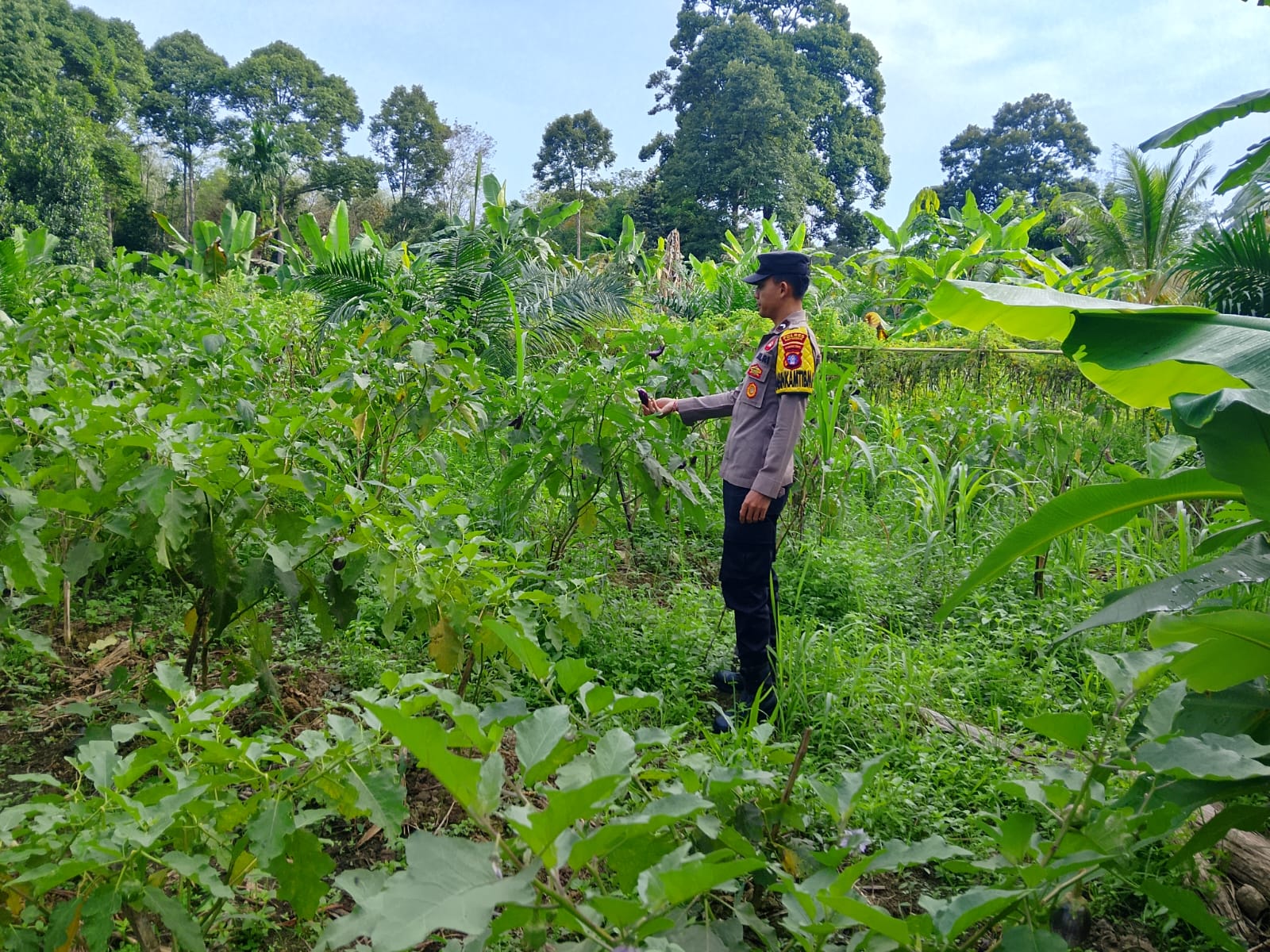Polsek Tewang Sangalang Garing dan Pulau Malan imbau warga tingkatkan pemanfaatan lahan untuk ketahanan pangan