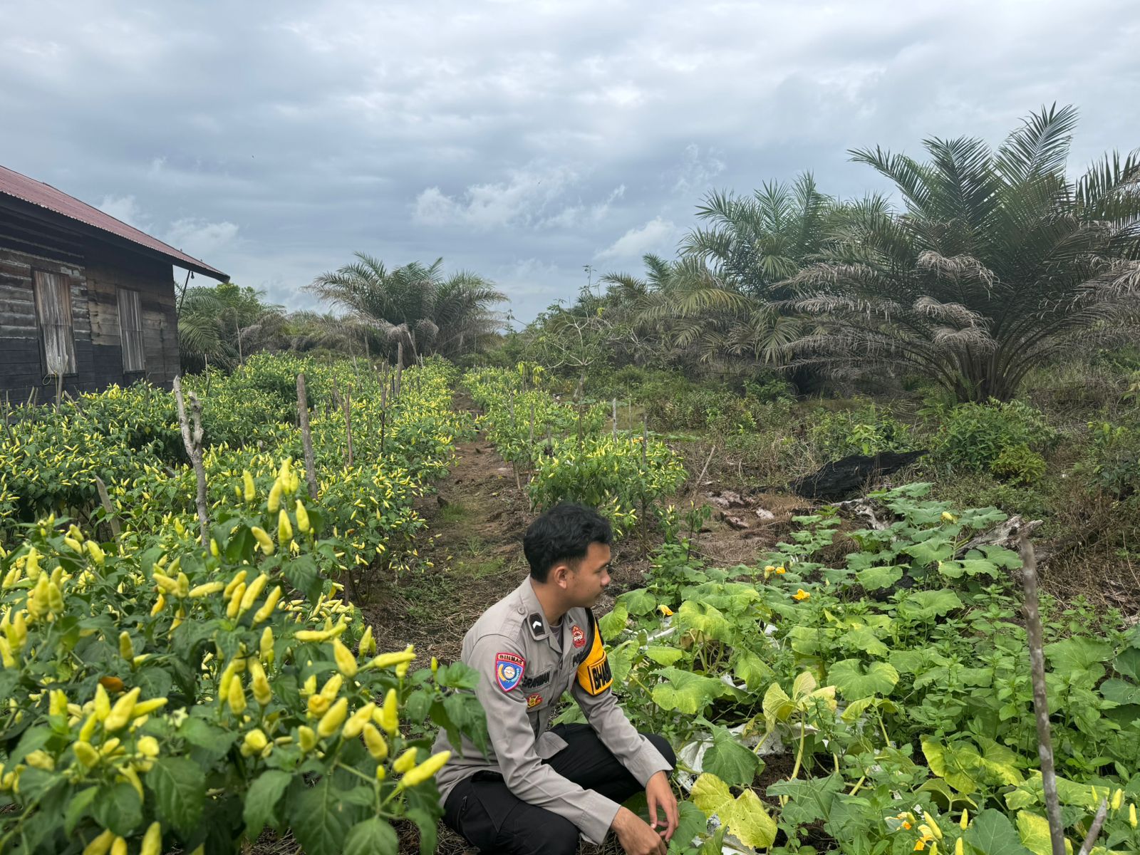 Polsek Tewang Sangalang Garing dan Pulau Malan Imbau Warga Tingkatkan Pemanfaatan Lahan Untuk Ketahanan Pangan