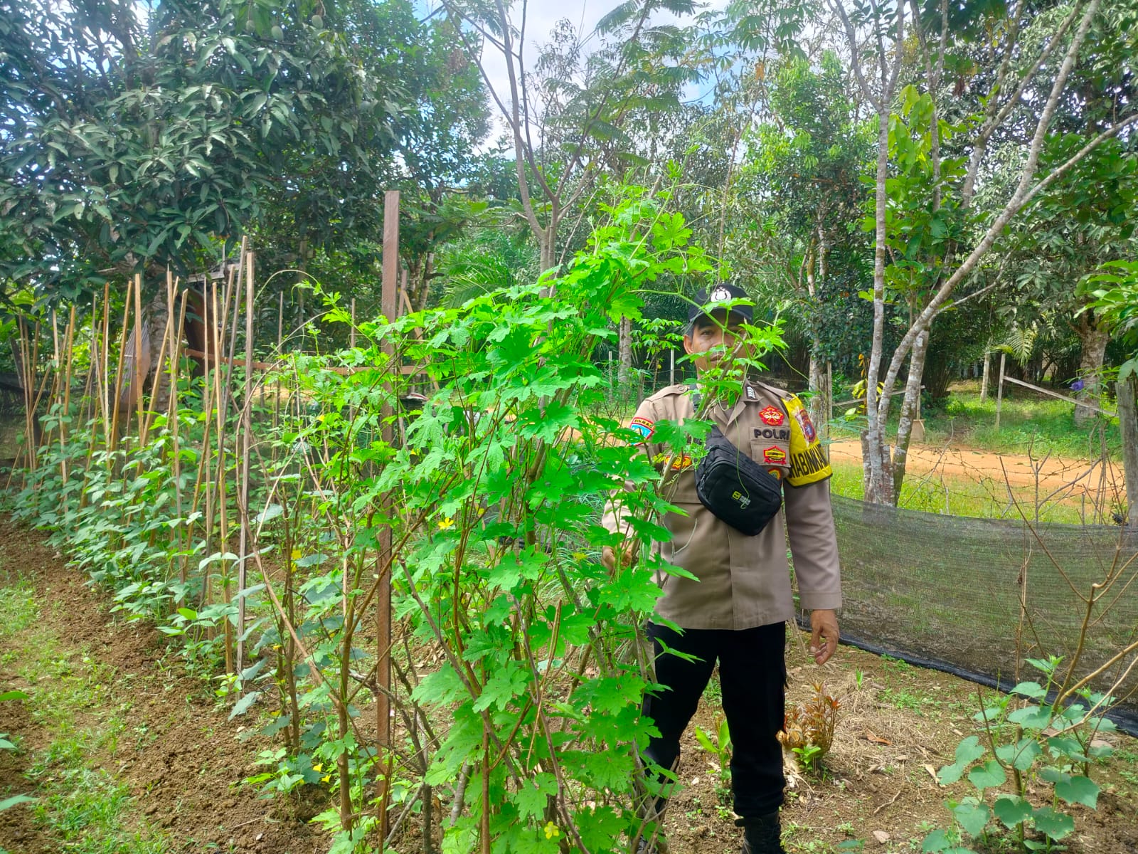 Ketahanan Pangan Berbasis Lokal Bertumbuh dari Ruang Produktif Warga