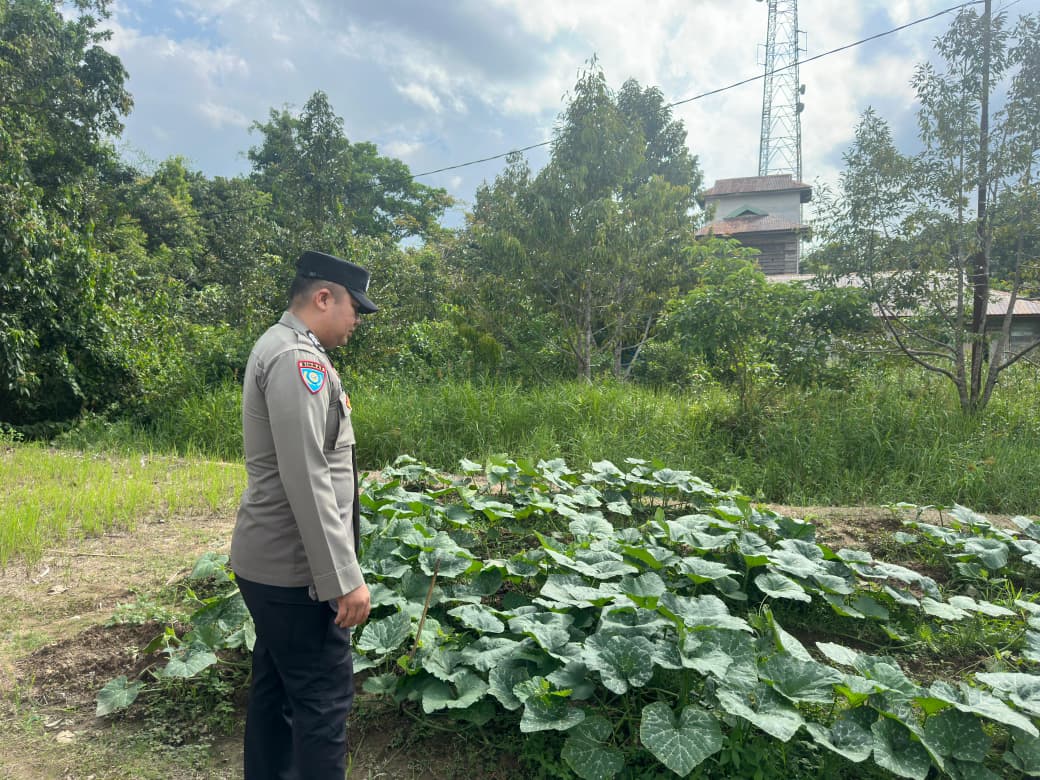 Dalam Rangka Mendukung Program Pemerintah, Bhabinkamtibmas Desa Kampung Melayu Polsek Mendawai Cek Lokasi Pemanfaatan Lahan Pekarangan Warga