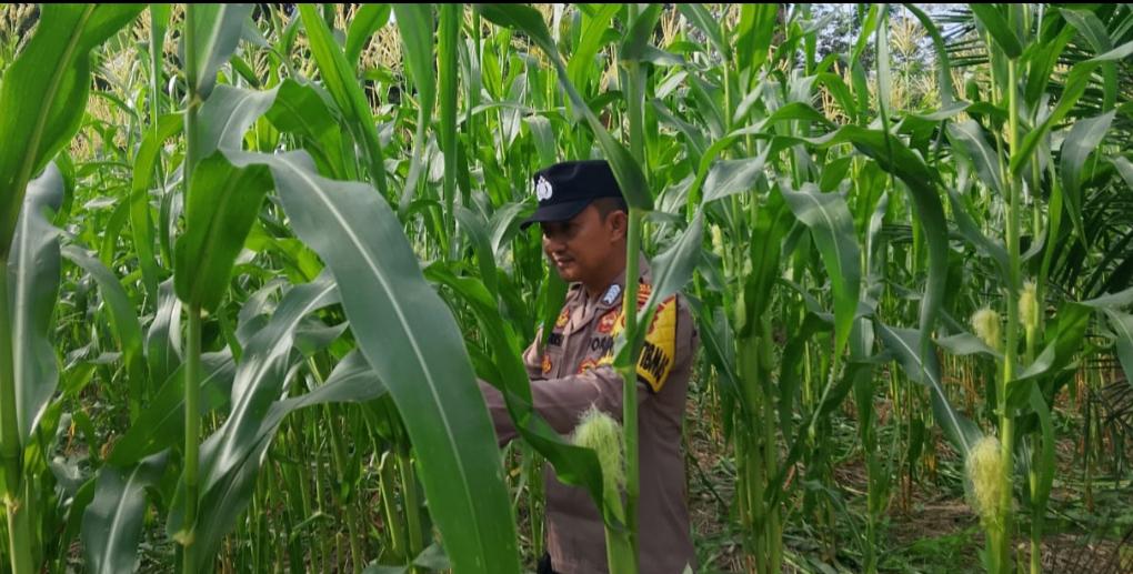 Personel Polsek Tewang Sangalang Garing dan Pulau Malan melaksanakan pengecekan lokasi pemanfaatan lahan pekarangan warga Binaannya