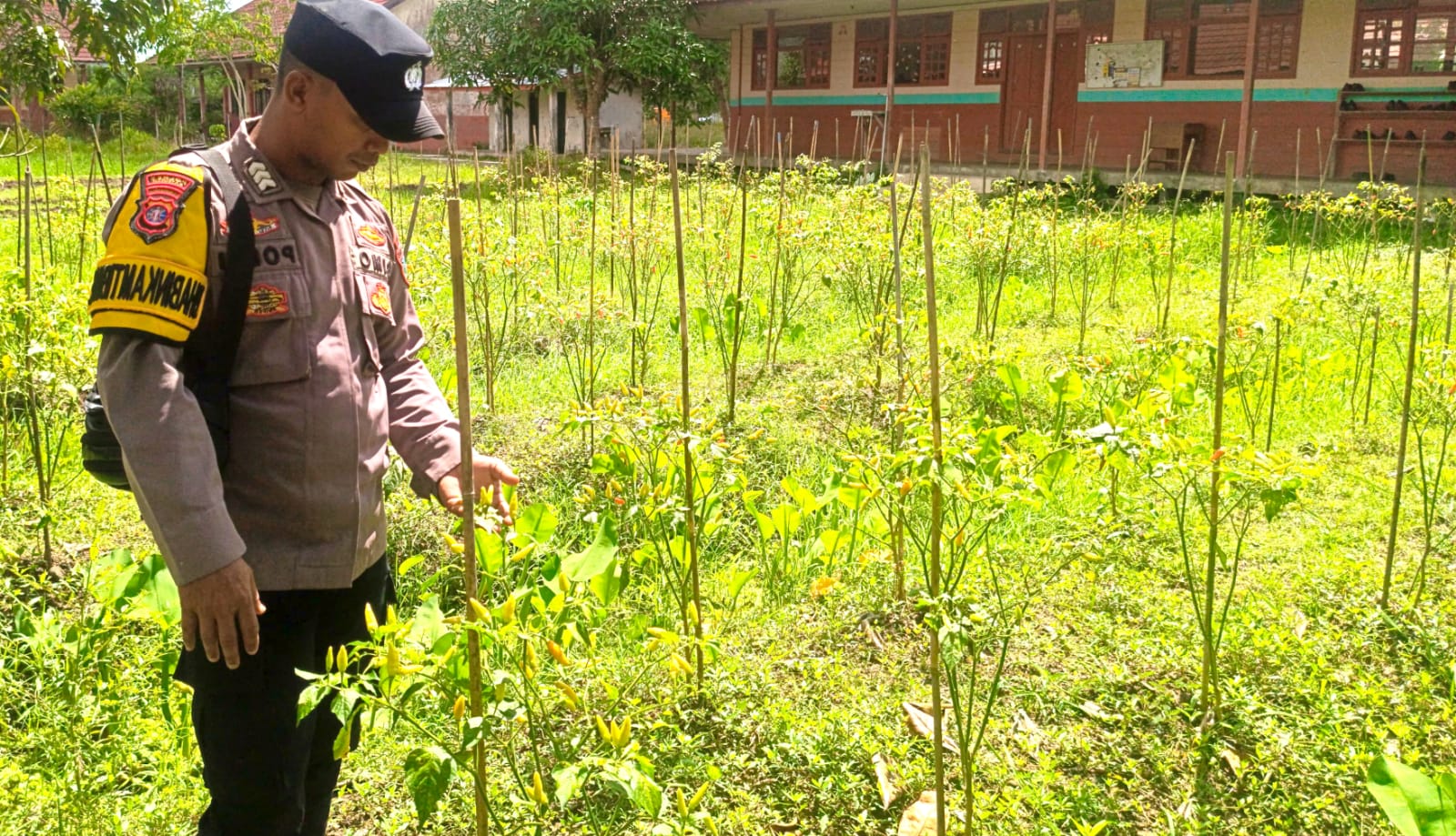 Bhabinkamtibmas Polsek Mendawai cek lokasi pemanfaatan pekarangan rumah warga binaan.