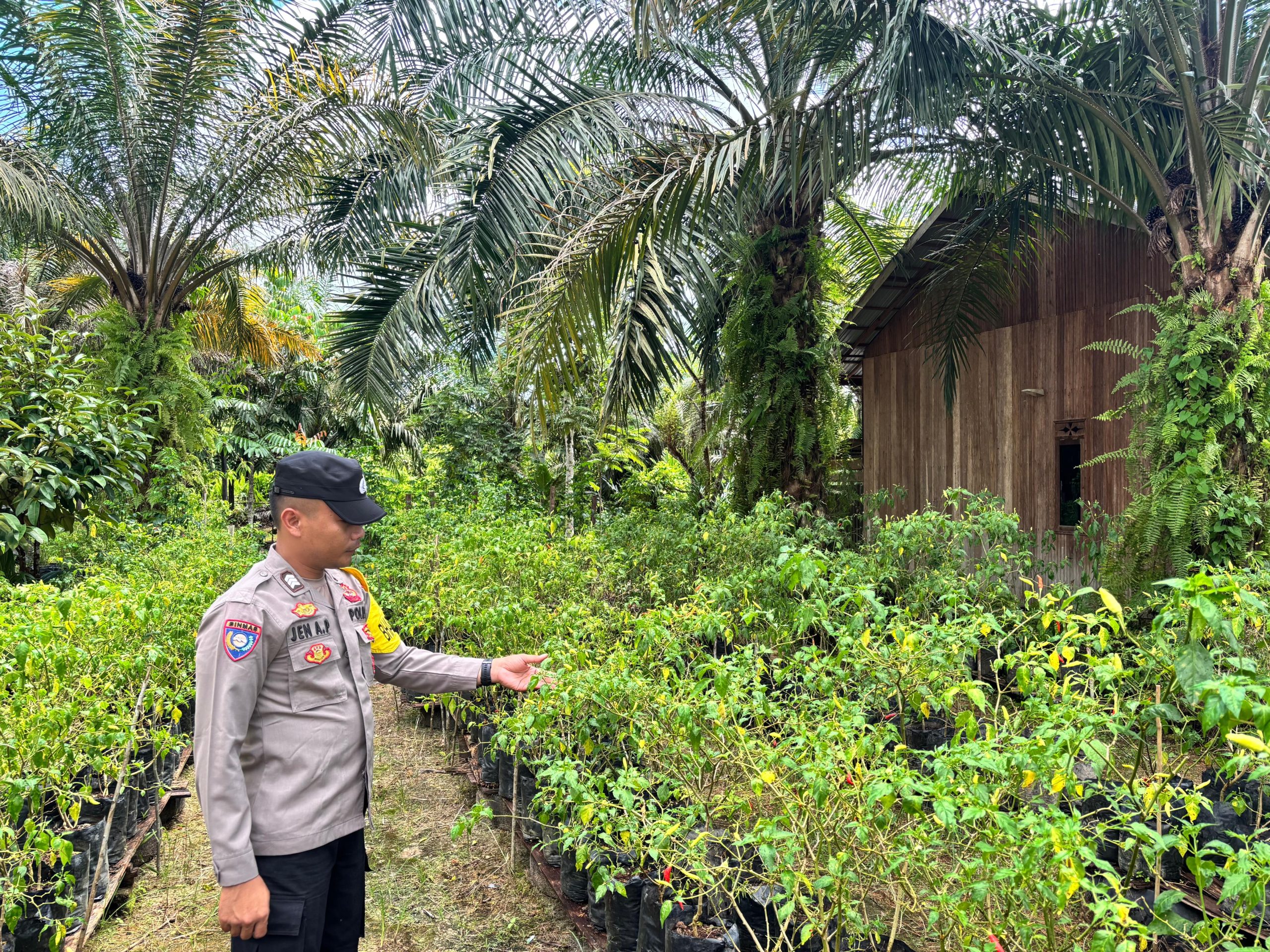 Polsek Tewang Sangalang Garing dan Pulau Malan Imbau Warga Tingkatkan Pemanfaatan Lahan Untuk Ketahanan Pangan