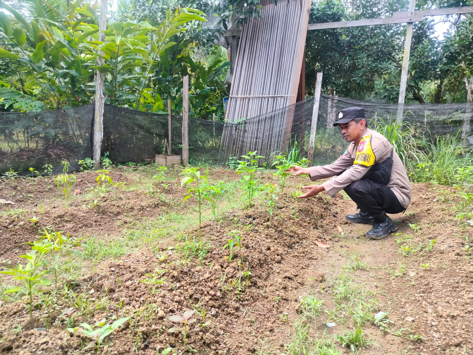 Lahan Mandiri Menjadi Fondasi Ketahanan Pangan Masyarakat Desa