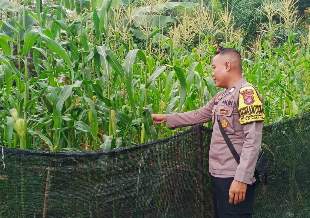 Mendukung Ketahanan Pangan, Personil Polsek Katingan Hulu Cek Lokasi Pemanfaatan Pekarangan Warga.