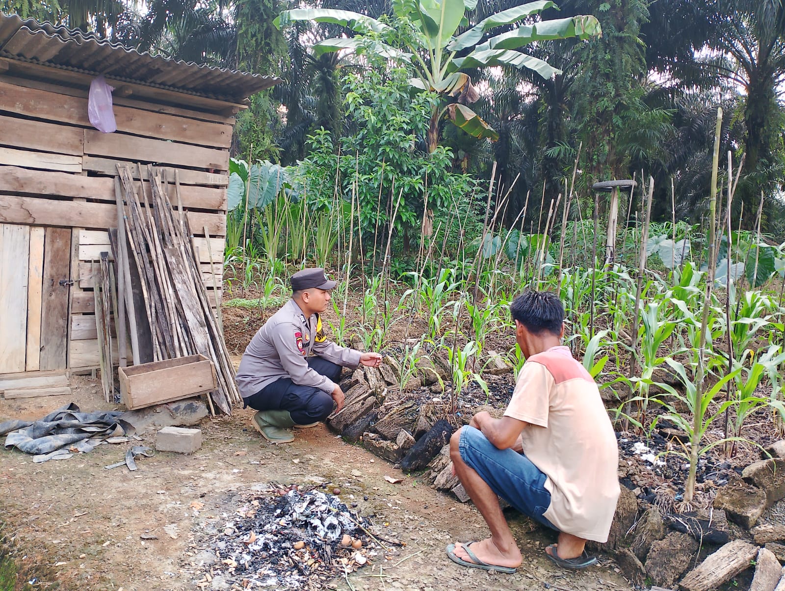 Bhabinkamtibmas Polres Lamandau Dorong Ketahanan Pangan Melalui Pemanfaatan Pekarangan Bergizi