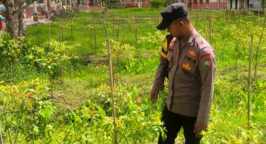Bhabinkamtibmas Polsek Mendawai cek lokasi pemanfaatan pekarangan rumah warga binaan.