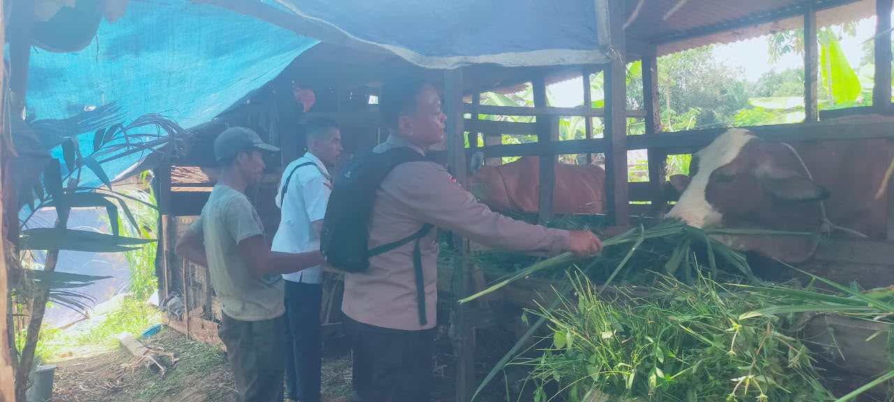 Dukung Ketahanan Pangan Nasional, Bhabinkamtibmas Polres Lamandau Sambangi Peternak Sapi di Desa Nanga Pamalontian