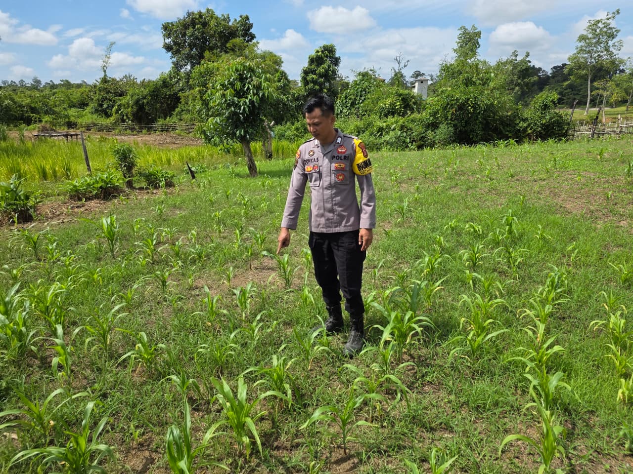 Mendukung Ketahanan Pangan, Personil Polsek Katingan Hulu Cek Lokasi Pemanfaatan Pekarangan Warga.