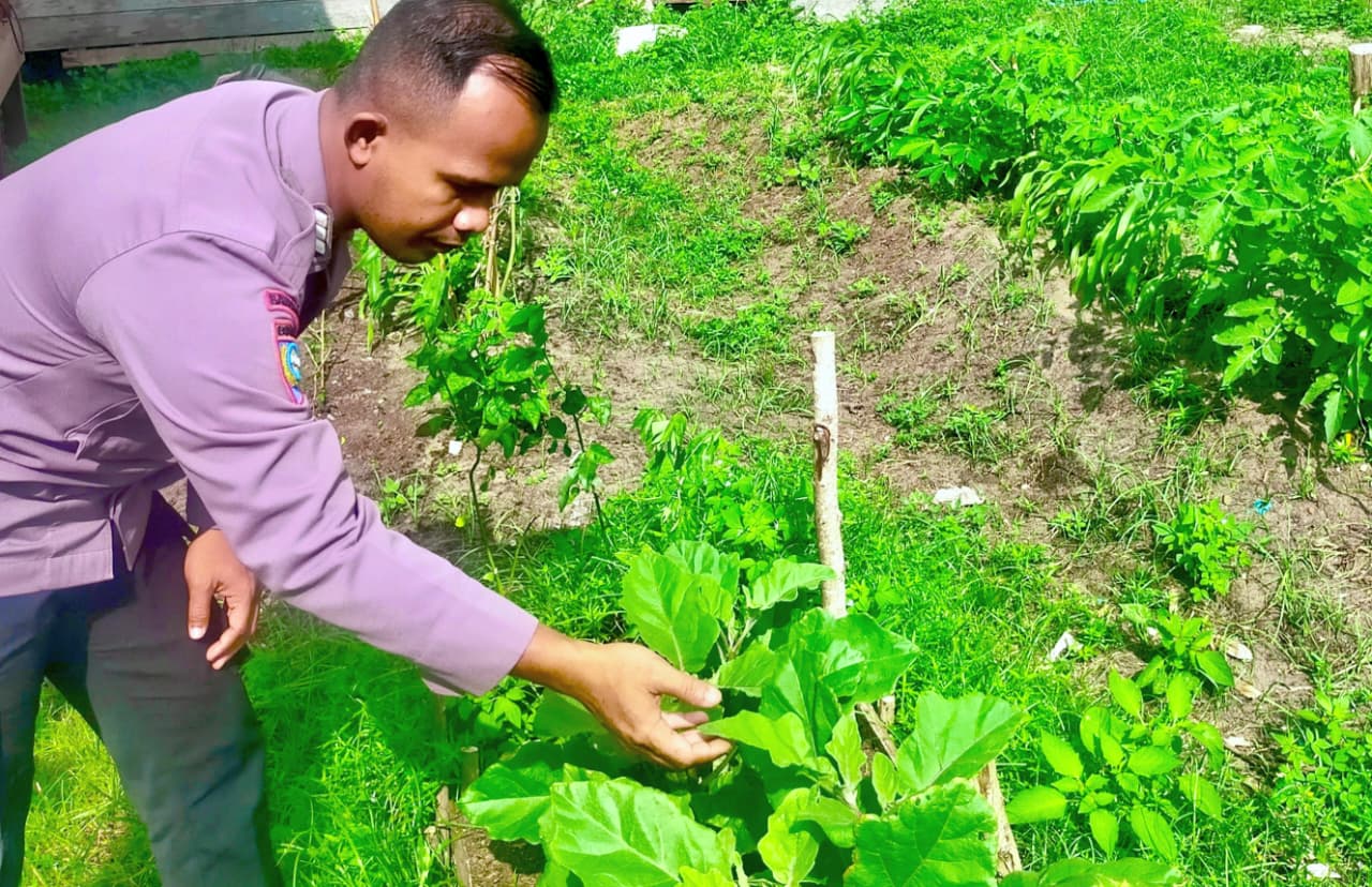 Bhabinkamtibmas Polsek Mendawai cek lokasi pemanfaatan pekarangan rumah warga binaan.