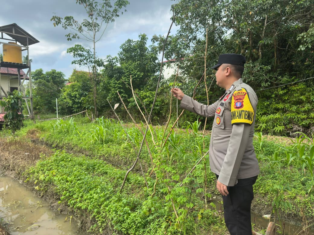 Dalam Rangka Mendukung Program Pemerintah, Bhabinkamtibmas Desa Kampung Melayu Polsek Mendawai Cek Lokasi Pemanfaatan Lahan Pekarangan Warga