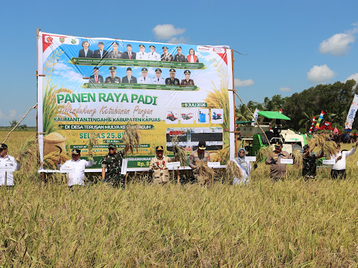 Wujud Sinergi Perkuat Swasembada Pangan, Kapolda Kalteng Panen Raya Padi Bersama Gubernur Di Kapuas