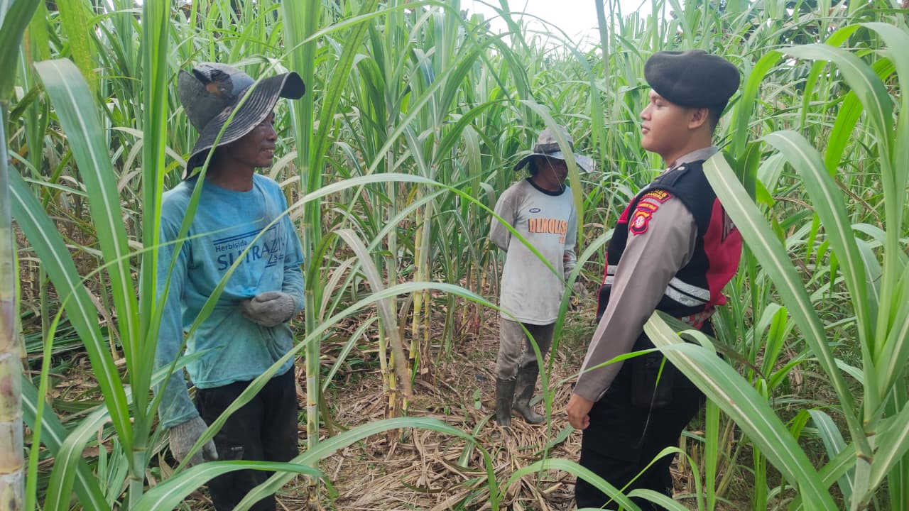 Patroli Harkamtibmas, Sat Samapta Polres Lamandau Sambangi Kebun Warga Sosialisasikan Bahaya Karhutla