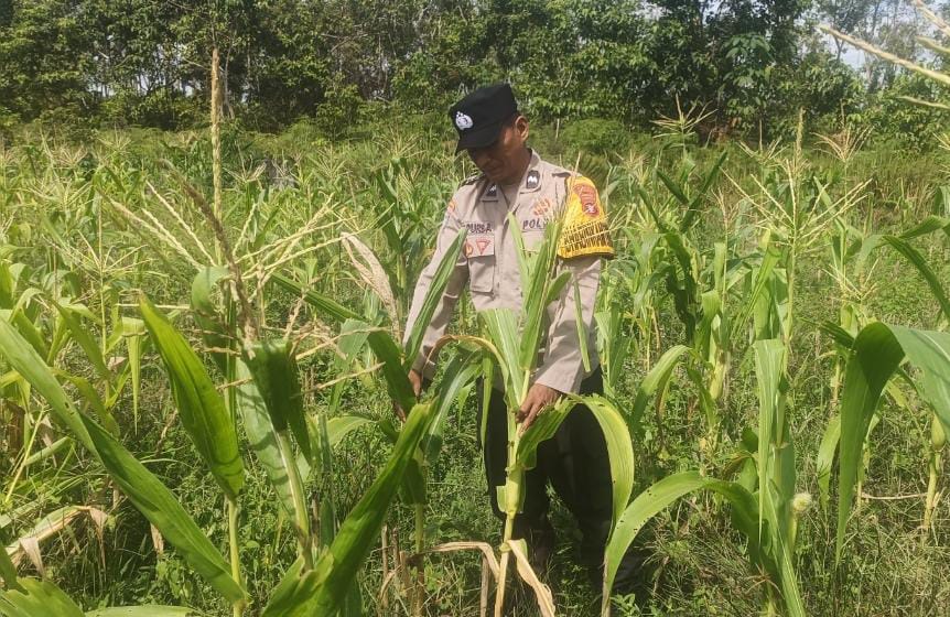 Personel Polsek Tewang Sangalang Garing dan Pulau Malan melaksanakan pengecekan lokasi pemanfaatan lahan pekarangan warga Binaannya