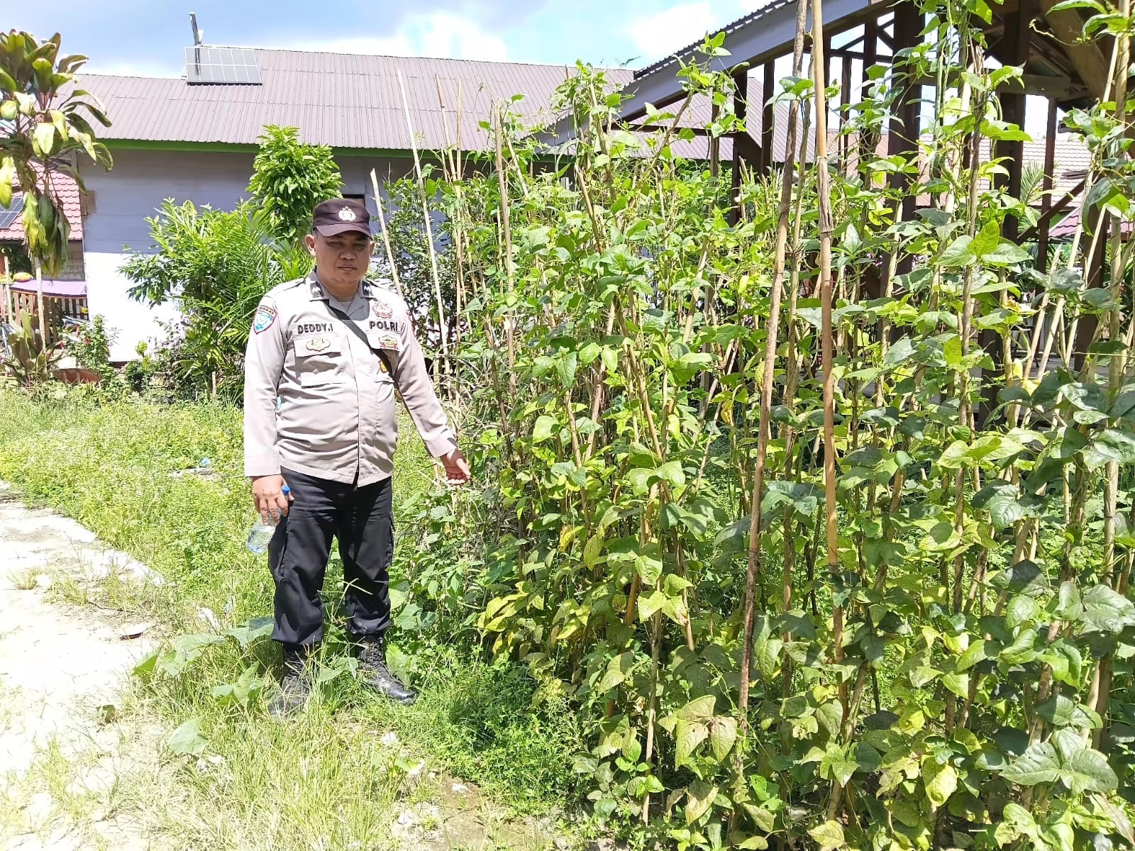 DUKUNG KETAHANAN PANGAN NASIONAL, POLSEK MARIKIT DAMPINGI PETANI DI TUMBANG PAHANEI