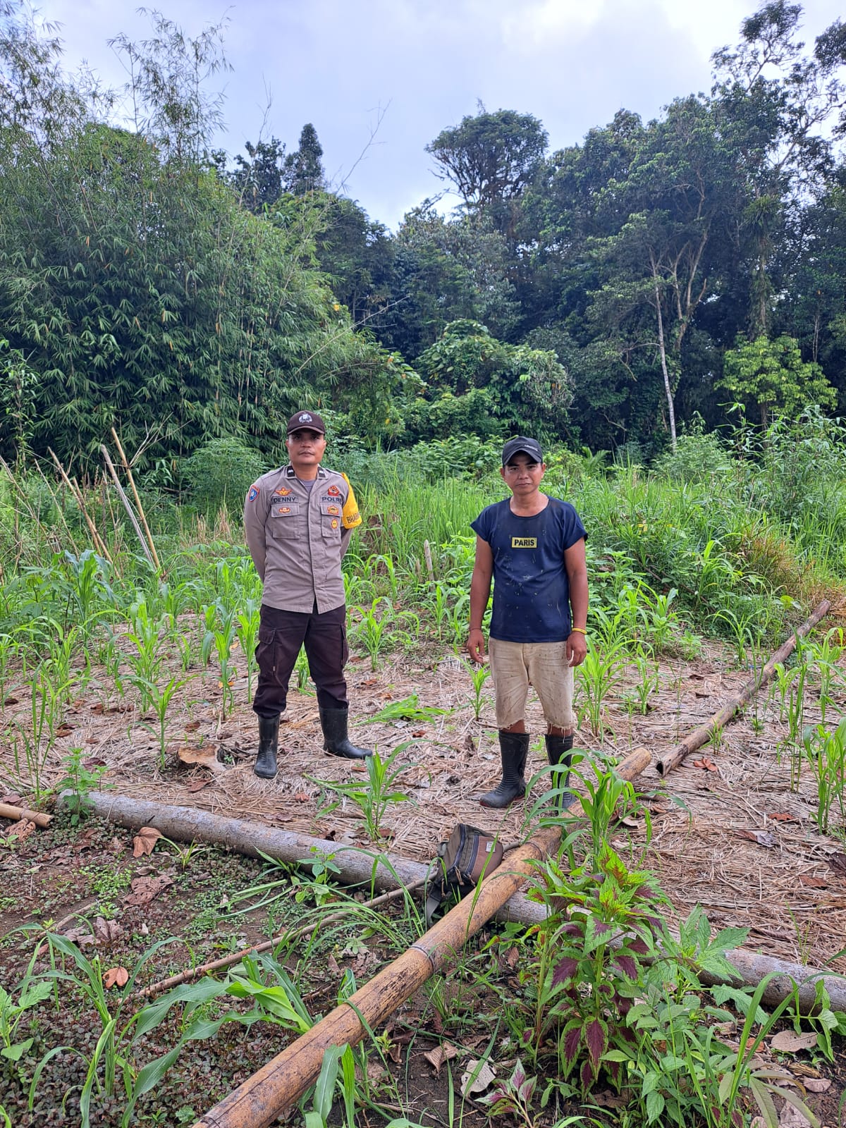 Mendukung Ketahanan Pangan, Personil Polsek Katingan Hulu dan Bukit Raya Cek Lokasi Pemanfaatan Pekarangan Warga.