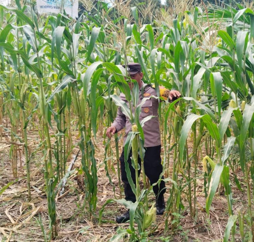 Personel Polsek Tewang Sangalang Garing dan Pulau Malan melaksanakan pengecekan lokasi pemanfaatan lahan pekarangan warga Binaannya
