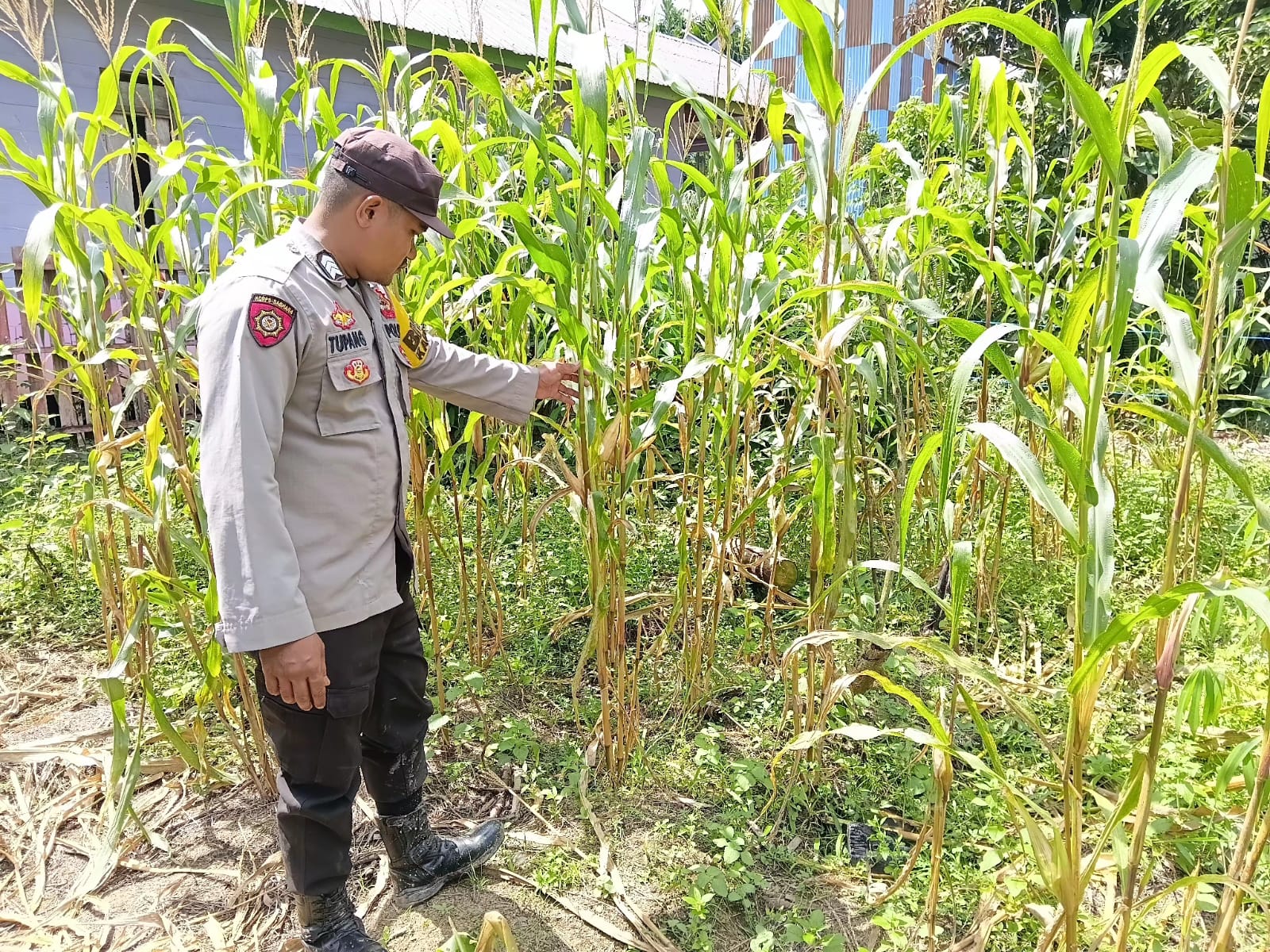 DUKUNG KETAHAN PANGAN, POLSEK MARIKIT LAKUKAN MONITORING LAHAN PEKARANGAN BERGIZI DI DESA SEBAUNG
