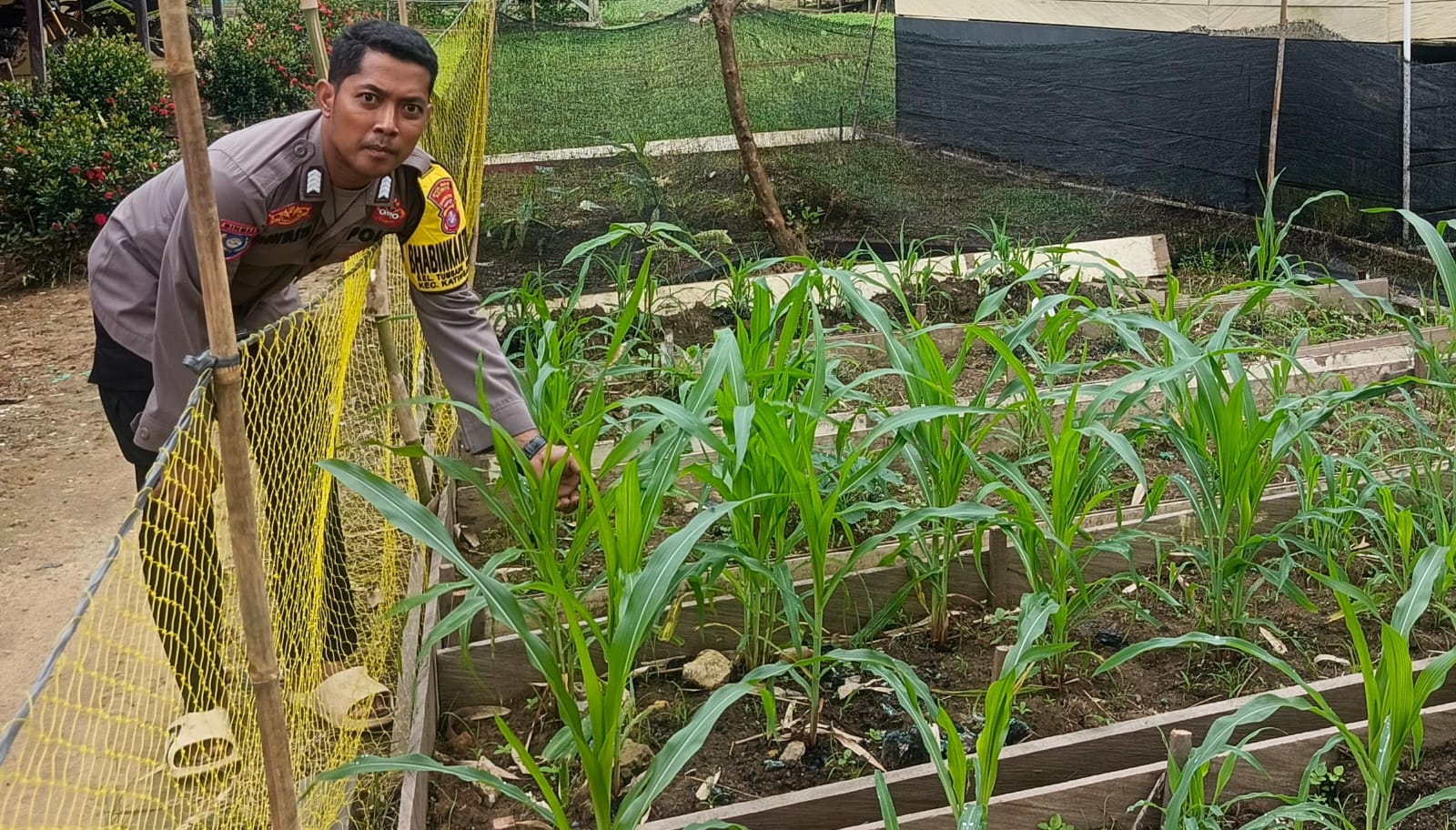 Mendukung Ketahanan Pangan, Personil Polsek Katingan Hulu Cek Lokasi Pemanfaatan Pekarangan Warga.