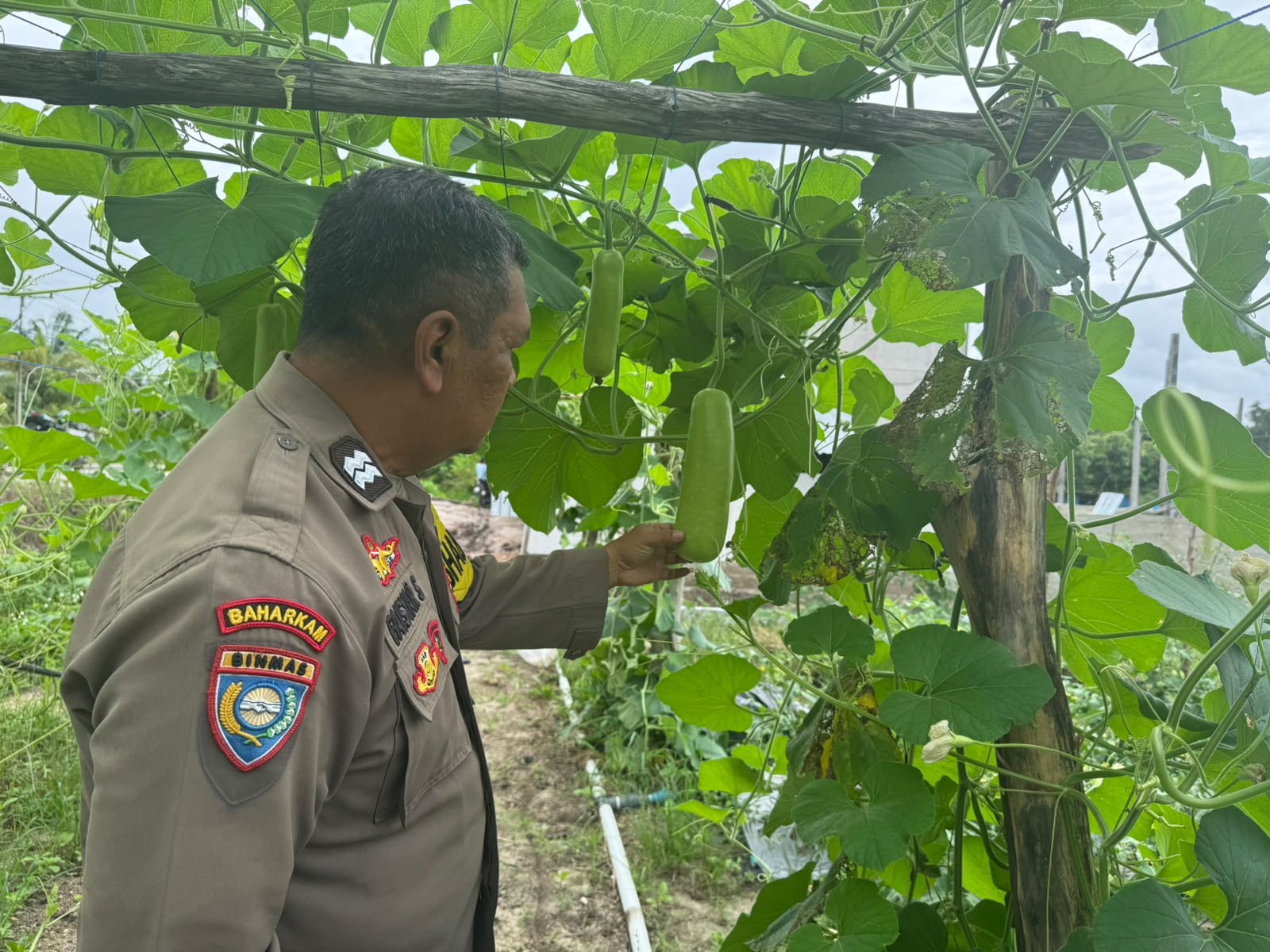Polsek Tewang Sangalang Garing dan Pulau Malan Imbau Warga Tingkatkan Pemanfaatan Lahan Untuk Ketahanan Pangan