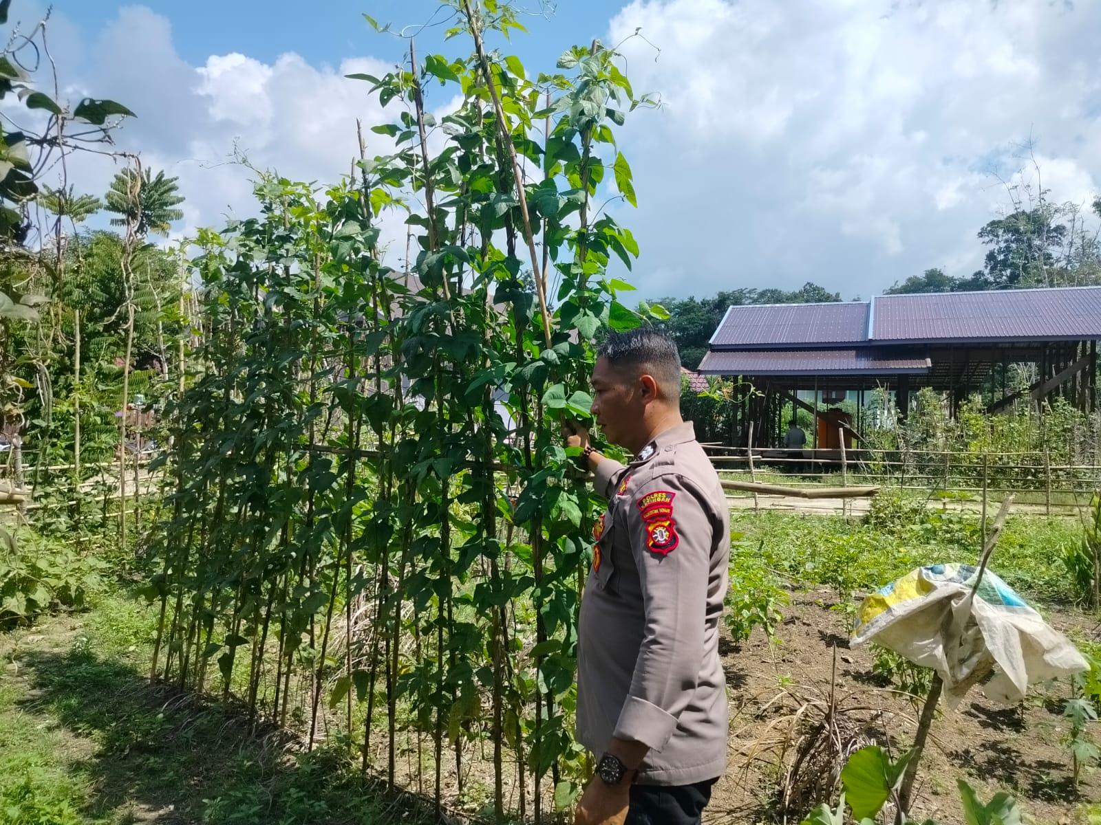 Perkuat Ketahanan Pangan Lokal, Polsek Marikit Monitoring Lahan Produktif Warga