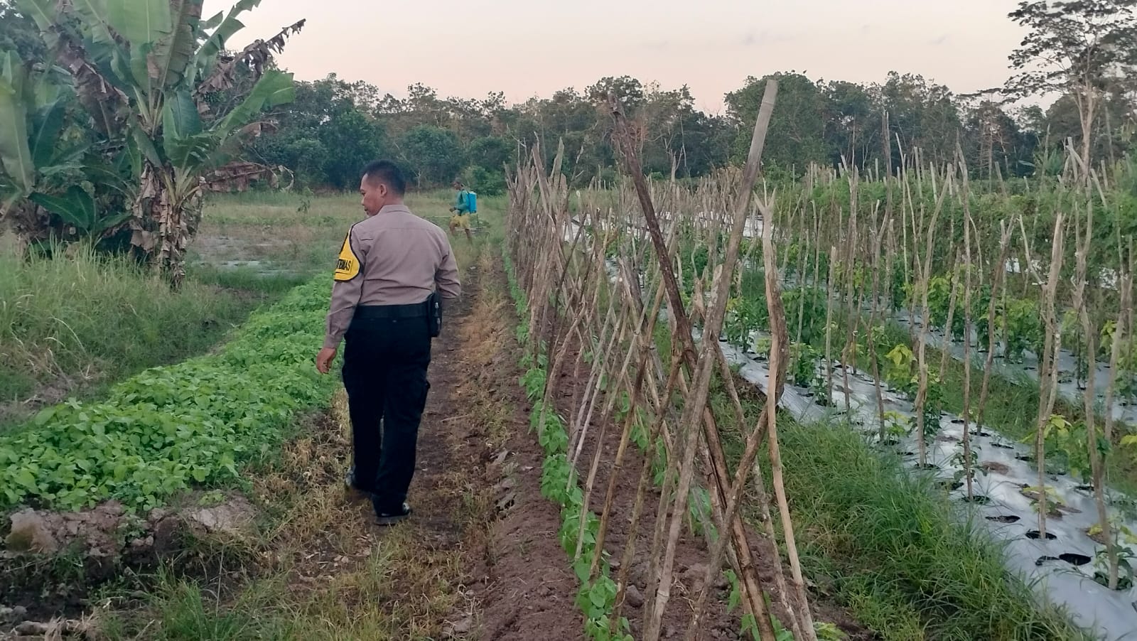 Dalam Rangka Mendukung Program Pemerintah, Bhabinkamtibmas Desa Mekartani Polsek Mendawai Cek Lokasi Pemanfaatan Lahan Pekarangan Warga