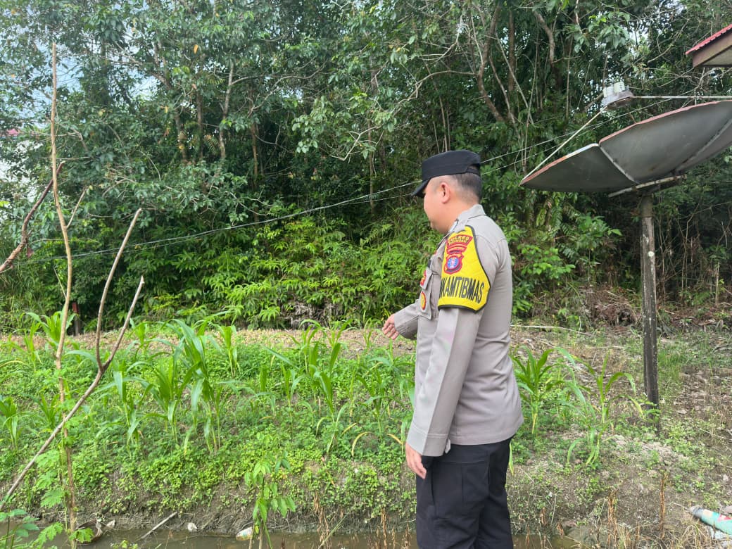 Dalam Rangka Mendukung Program Pemerintah, Bhabinkamtibmas Desa Kampung Melayu Polsek Mendawai Cek Lokasi Pemanfaatan Lahan Pekarangan Warga