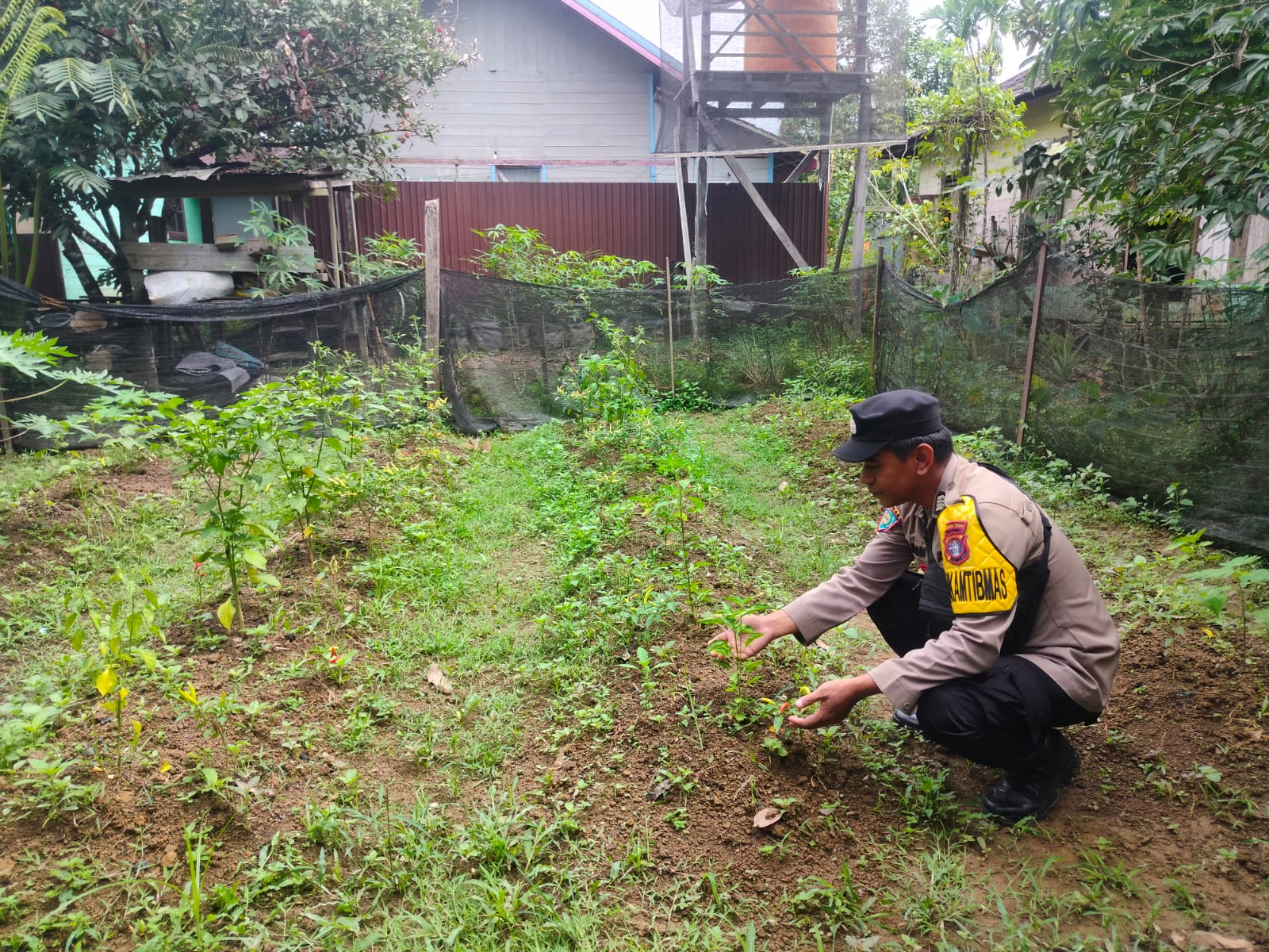 Kawal Pangan Lokal, Polsek Marikit Perkuat Pengelolaan Lahan Produktif Warga