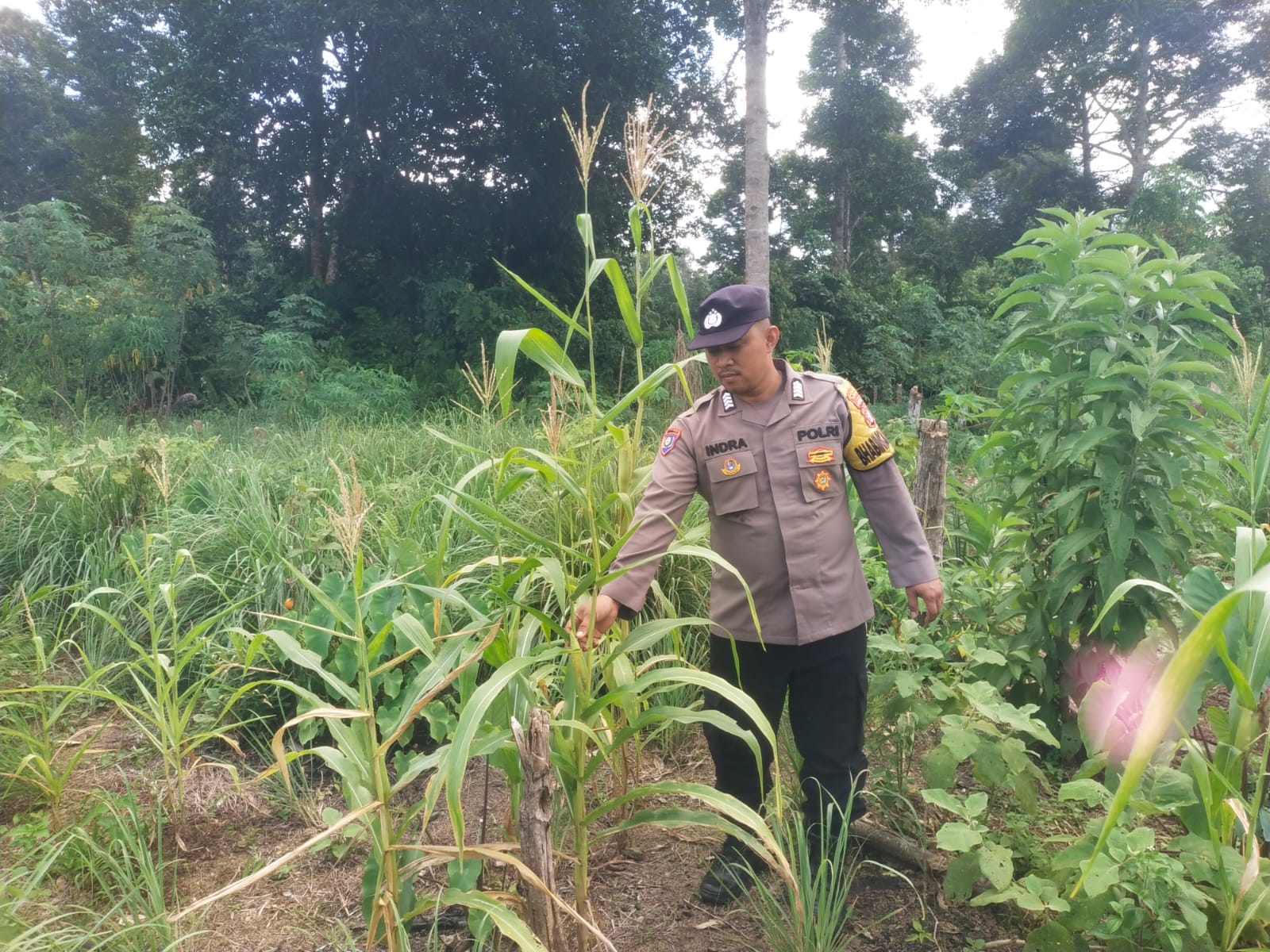 Personel Polsek Tewang Sangalang Garing dan Pulau Malan melaksanakan pengecekan lokasi pemanfaatan lahan pekarangan warga Binaannya