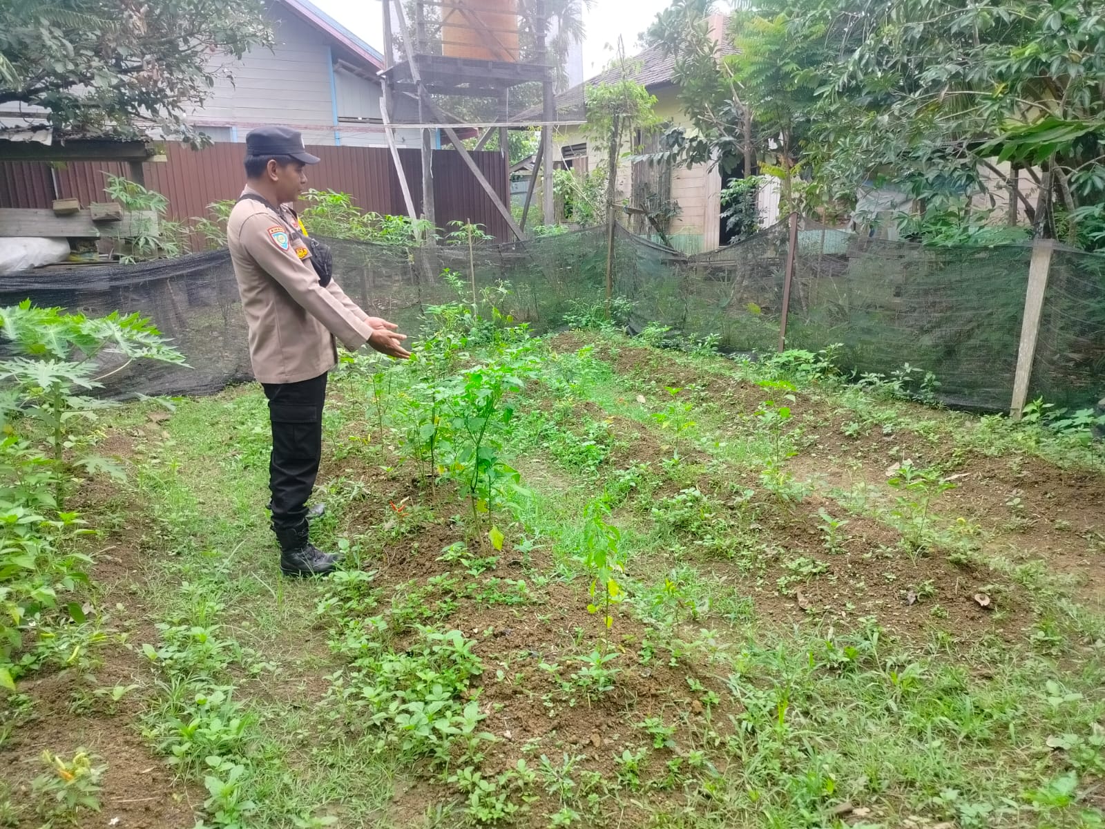 DUKUNG KETAHANAN PANGAN NASIONAL, POLSEK MARIKIT DAMPINGI PETANI DAN MONITORING PEKARANGAN BERGIZI