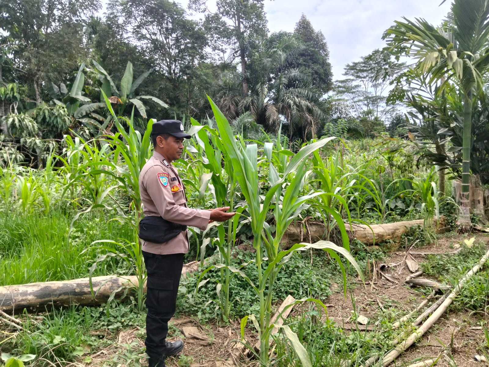 Lahan Mandiri dan Harapan Pangan: Langkah Nyata Polsek Marikit di Desa