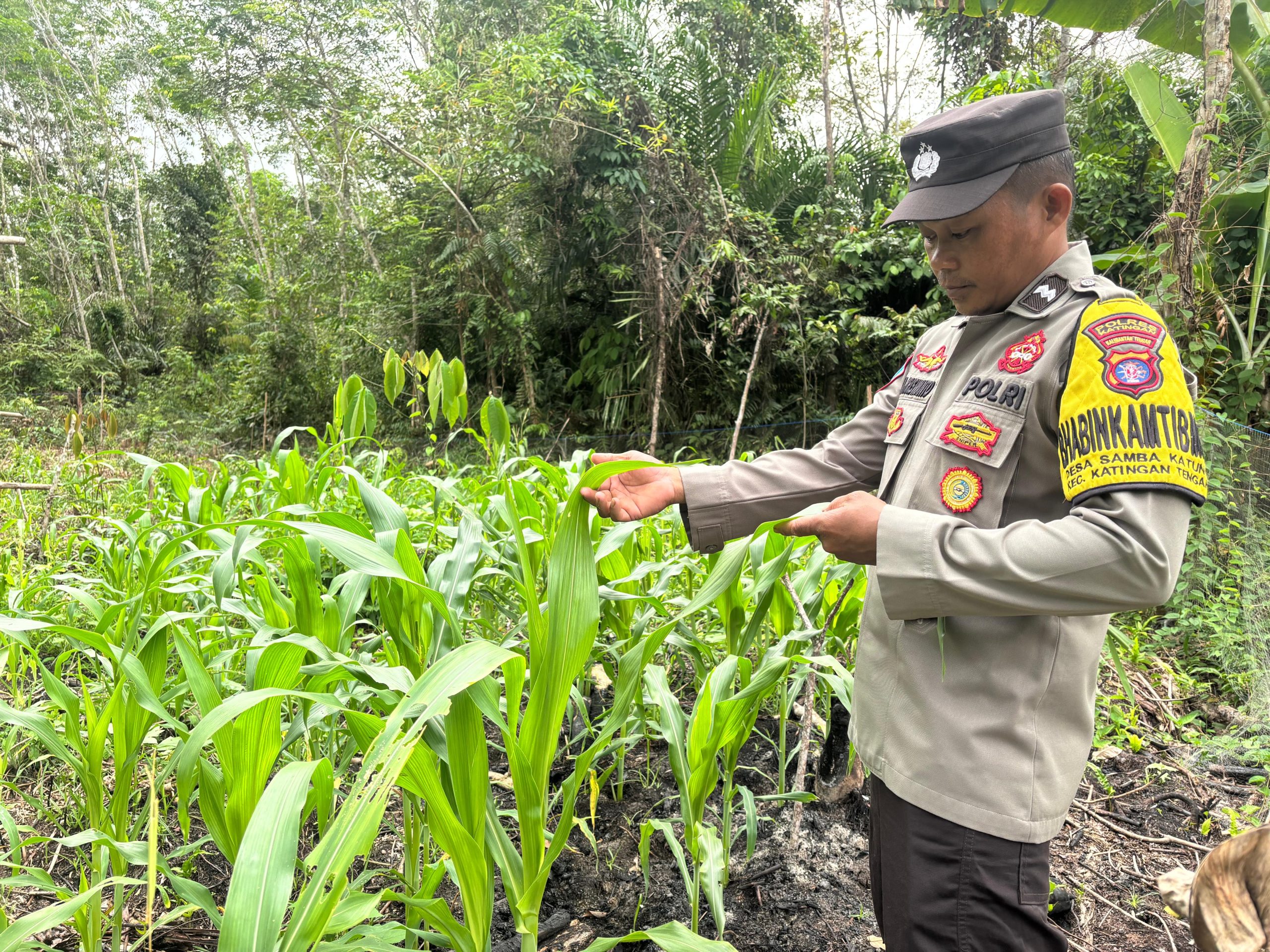 Polsek Katingan Tengah Imbau Warga Tingkatkan Pemanfaatan Lahan Untuk Ketahanan Pangan
