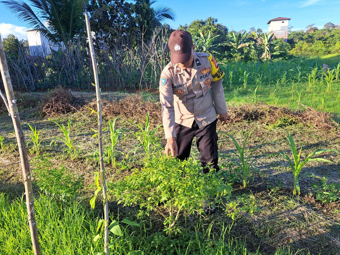 Mendukung Ketahanan Pangan, Personil Polsek Katingan Hulu dan Bukit Raya Cek Lokasi Pemanfaatan Pekarangan Warga.