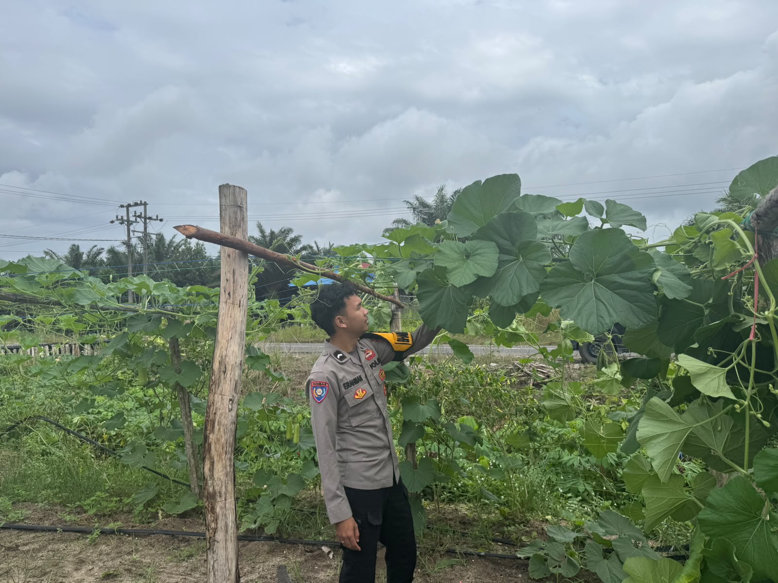 Polsek Tewang Sangalang Garing dan Pulau Malan Imbau Warga Tingkatkan Pemanfaatan Lahan Untuk Ketahanan Pangan