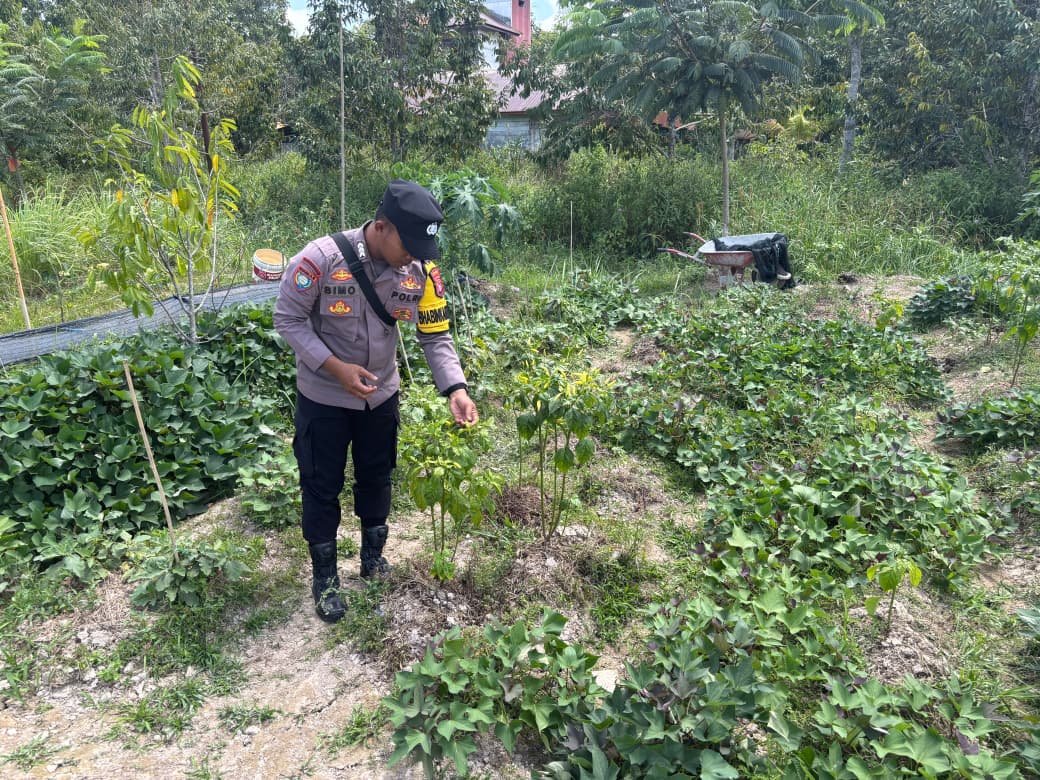 Bhabinkamtibmas Polsek Mendawai cek lokasi pemanfaatan pekarangan rumah warga binaan.