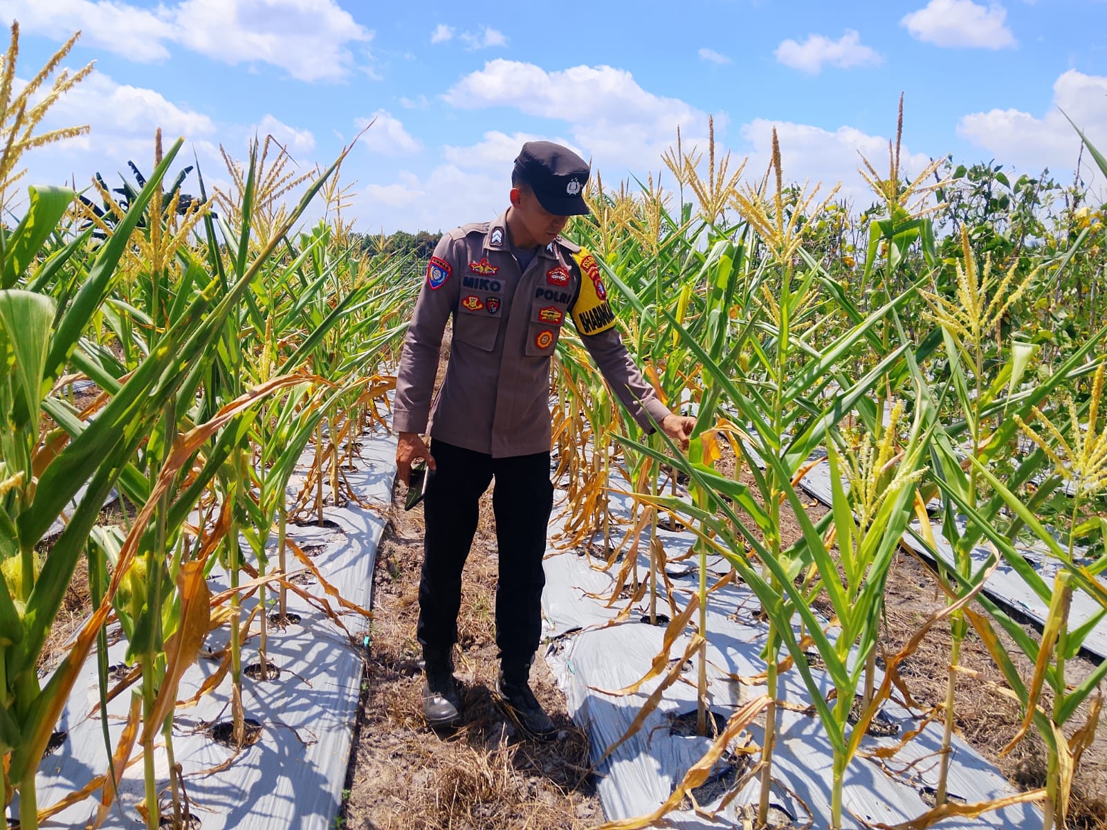 Polsek Tewang Sangalang Garing dan Pulau Malan imbau warga tingkatkan pemanfaatan lahan untuk ketahanan pangan