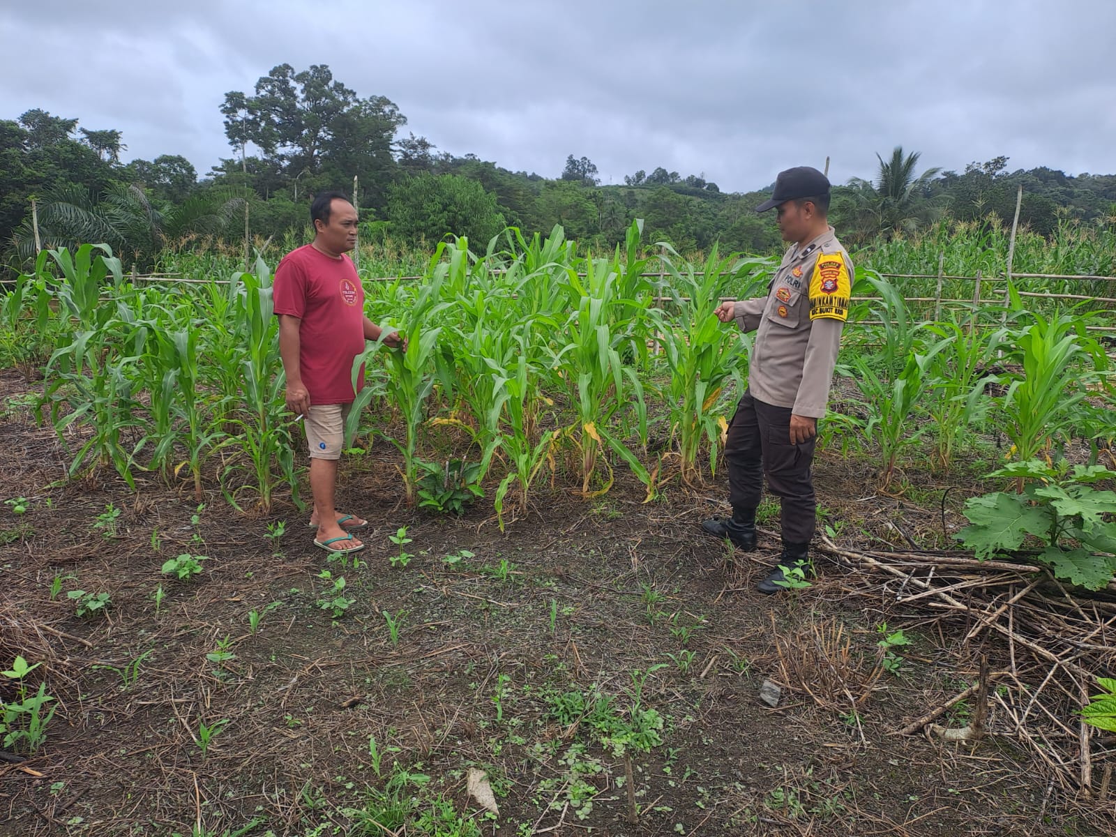 Mendukung Ketahanan Pangan, Personil Polsek Katingan Hulu dan Bukit Raya Cek Lokasi Pemanfaatan Pekarangan Warga.