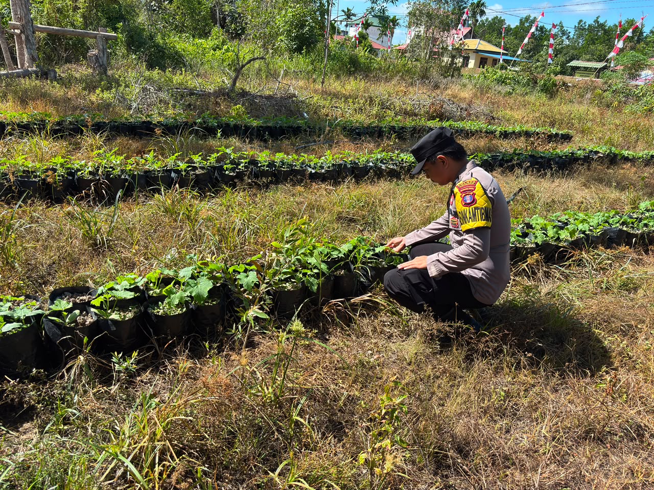Dalam Rangka Mendukung Program Pemerintah, Bhabinkamtibmas Desa Mendawai Polsek Mendawai Cek Lokasi Pemanfaatan Lahan Pekarangan Warga