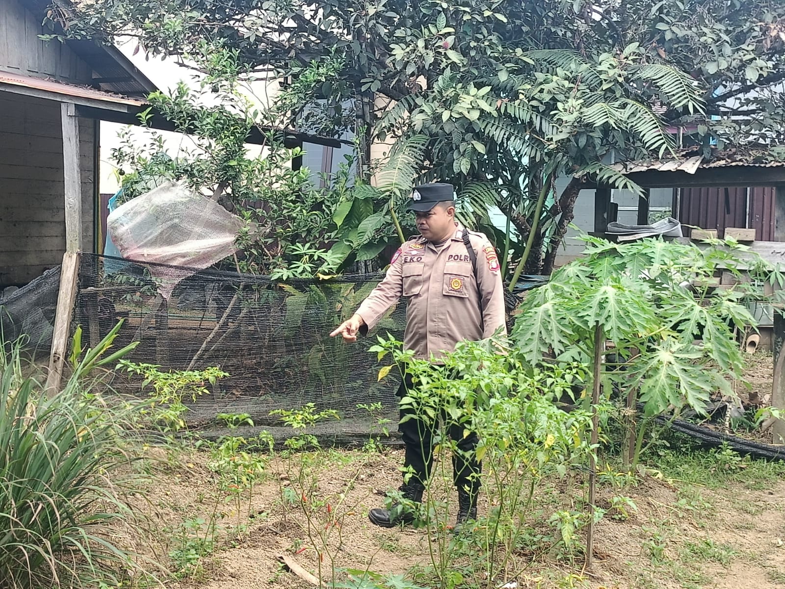 Lahan Produktif Perkuat Akar Ketahanan Pangan Lokal, Polsek Marikit Terus Kawal