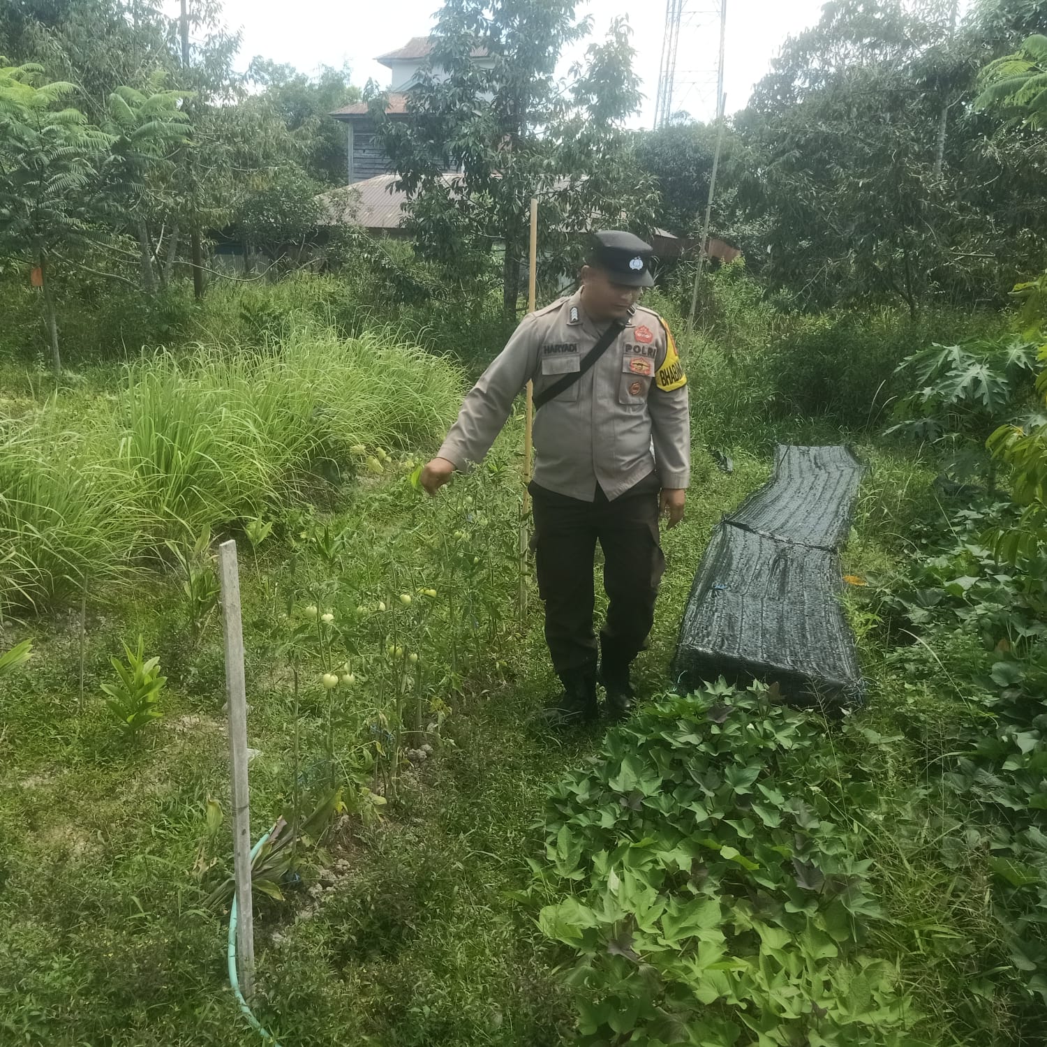 Dalam Rangka Mendukung Program Pemerintah, Bhabinkamtibmas Desa Perigi Polsek Mendawai Cek Lokasi Pemanfaatan Lahan Pekarangan Warga