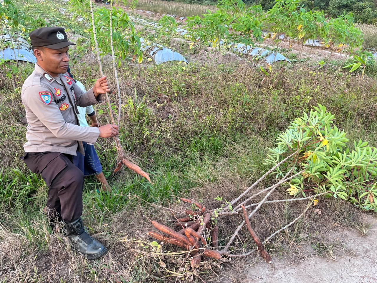 Dalam Rangka Mendukung Program Pemerintah, Bhabinkamtibmas Desa Tewang Kampung Polsek Mendawai Cek Lokasi Pemanfaatan Lahan Pekarangan Warga