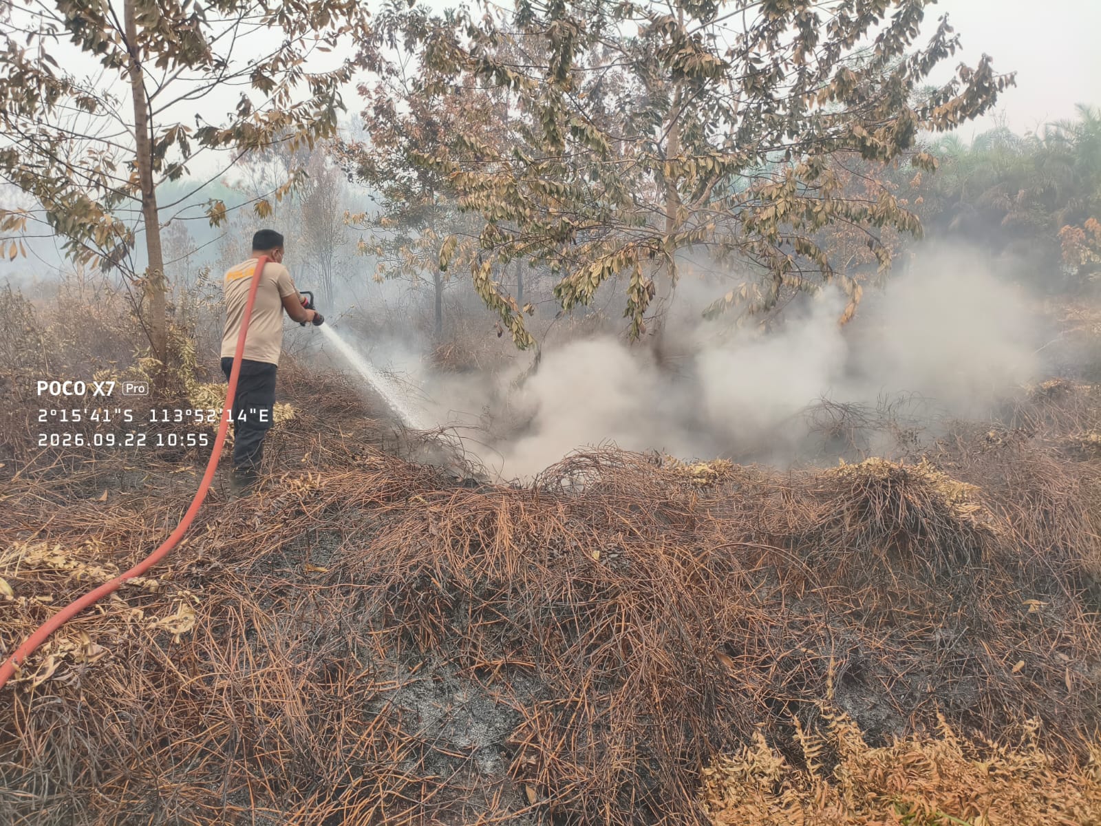 Satbrimob Kalteng Kembali Padamkan Karhutla di Dulin Kandang Ujung