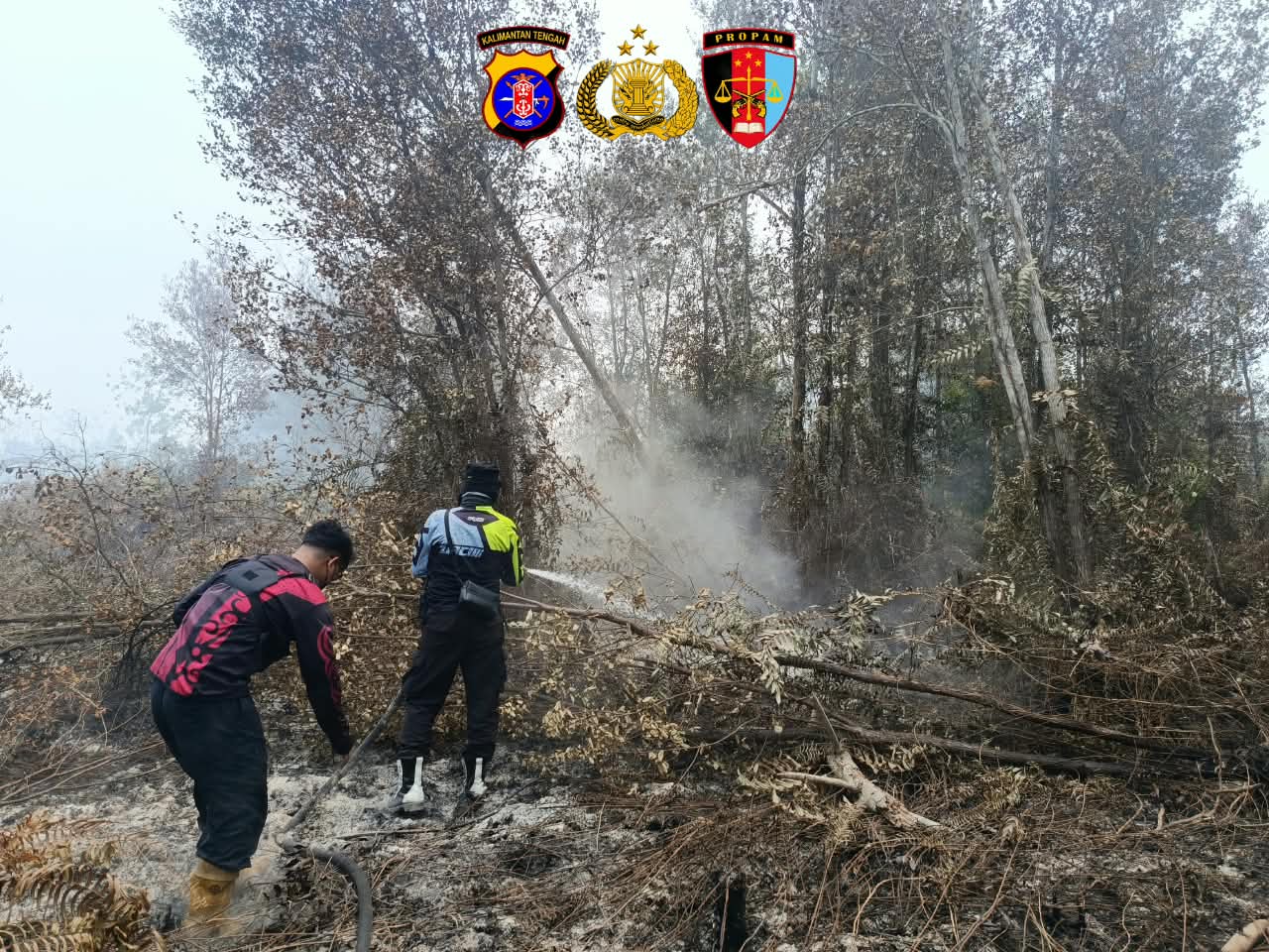 Pantang Menyerah, Kesiapsiagaan Satgas Karhutla Bidpropam Polda Kalteng Sukses Padamkan Api di Manduhara Ujung