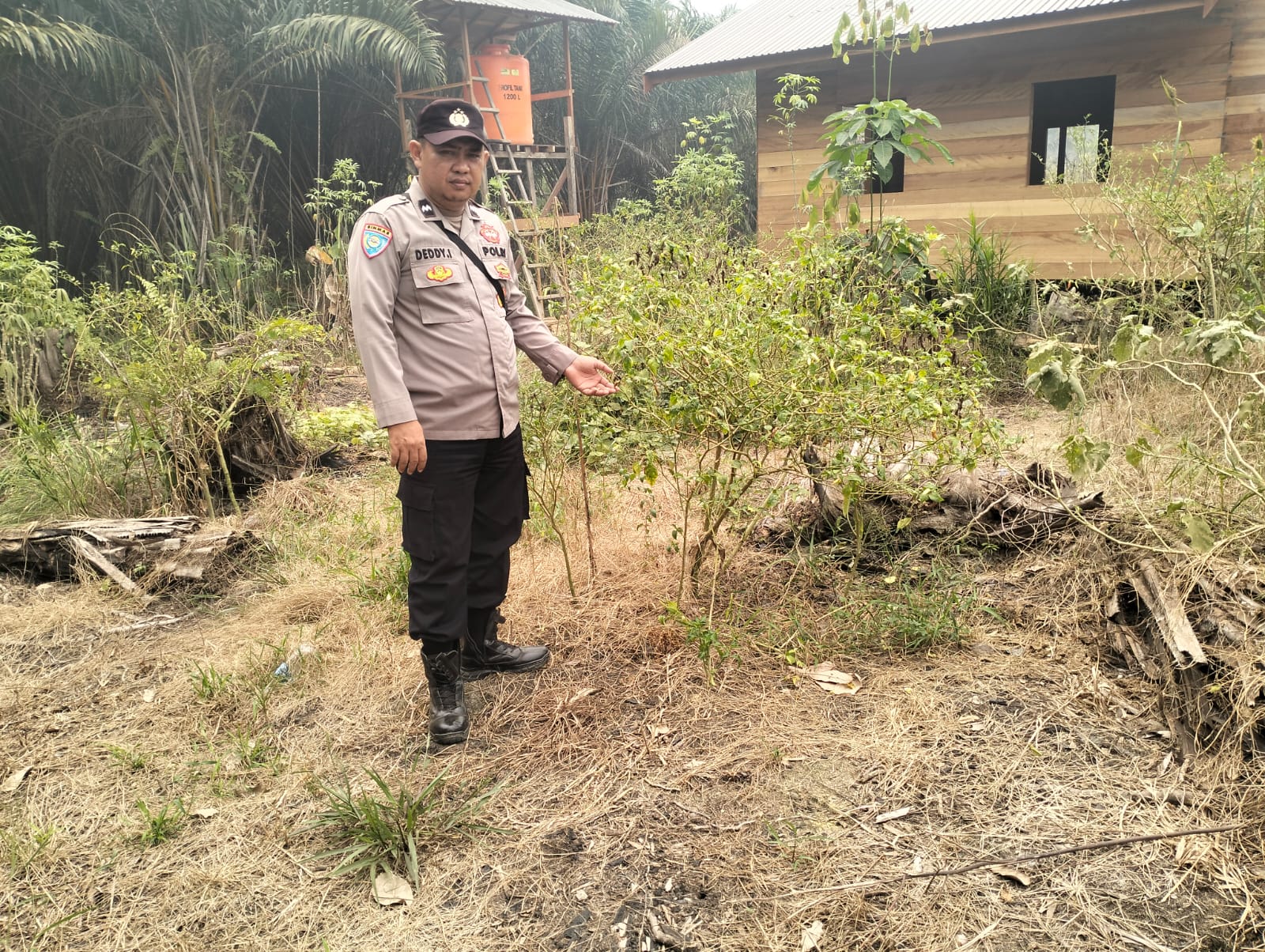 DUKUNG KETAHANAN PANGAN NASIONAL, POLSEK MARIKIT DAMPINGI PETANI DI TUMBANG HIRAN